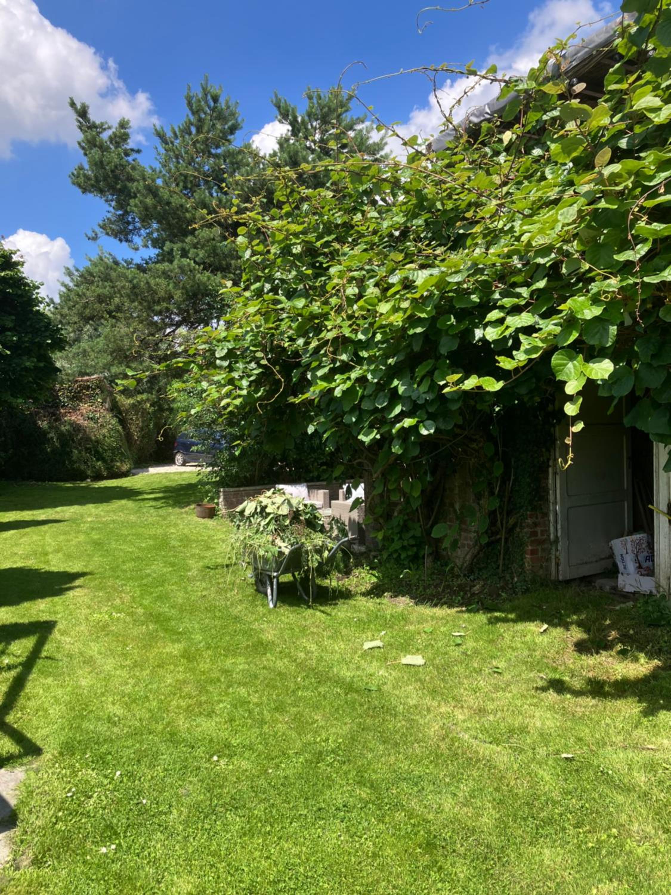 La Canopée, photo 31