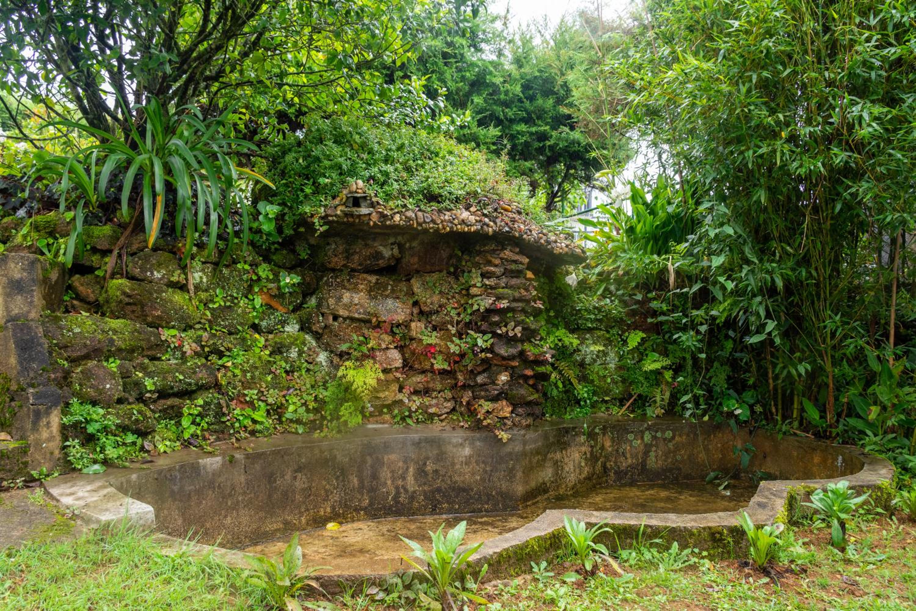 Tranquil Garden Nuwara Eliya