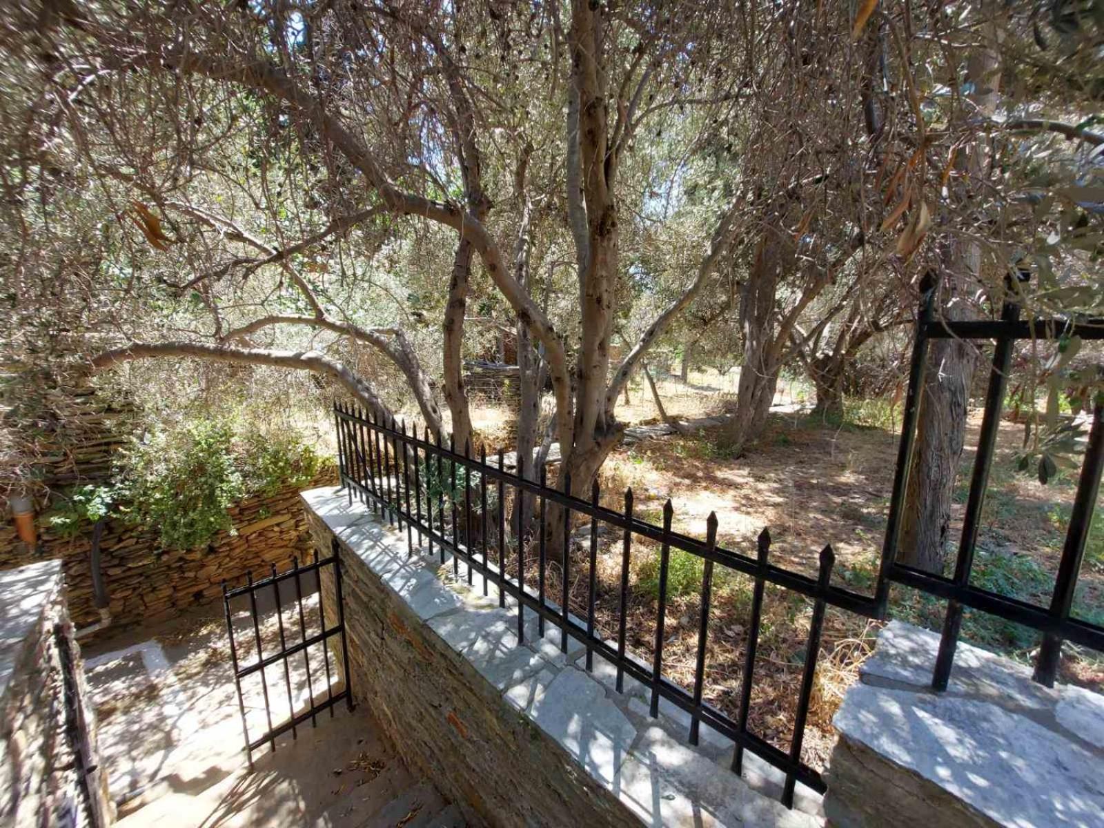 Photo 26