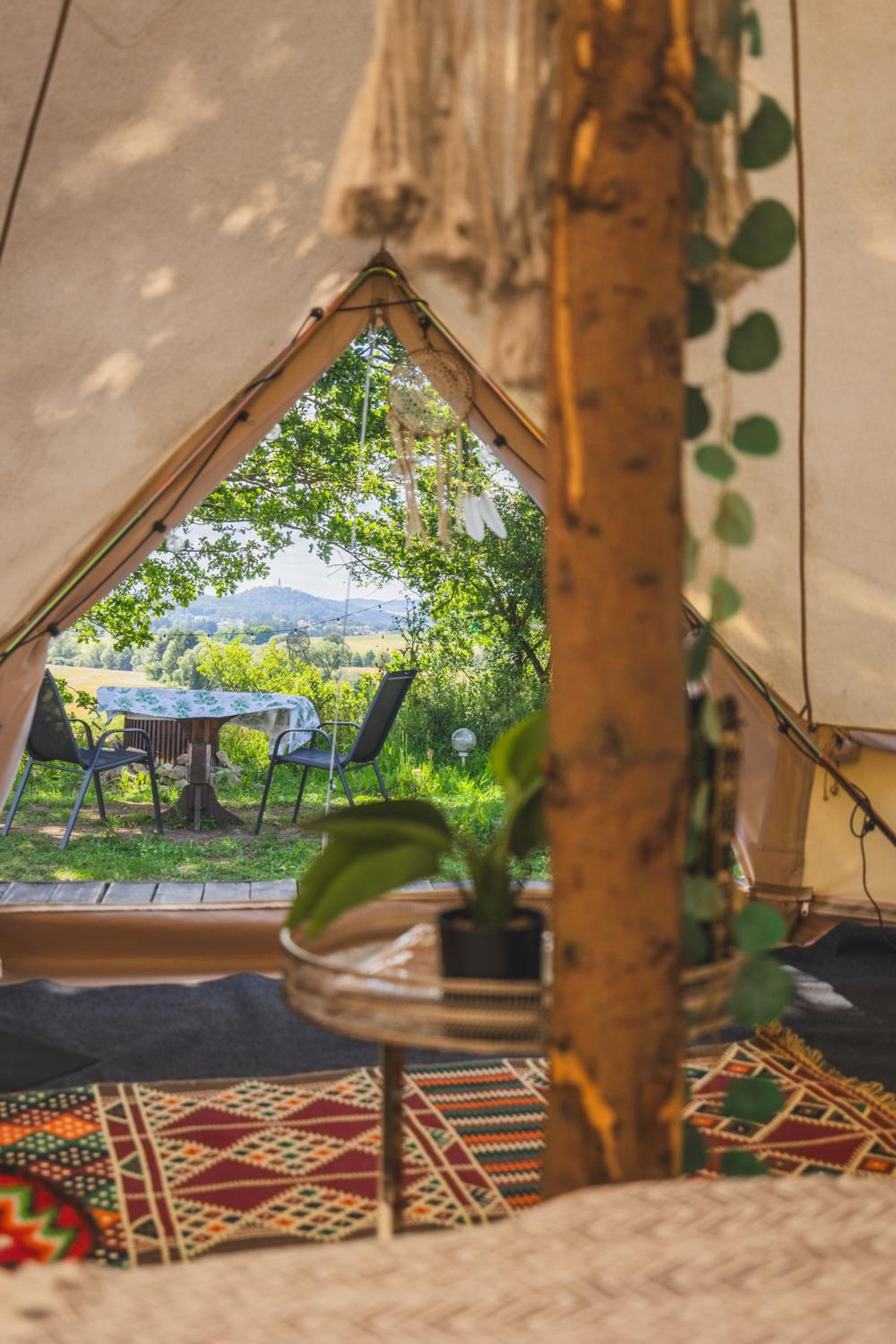 Glamping Hive