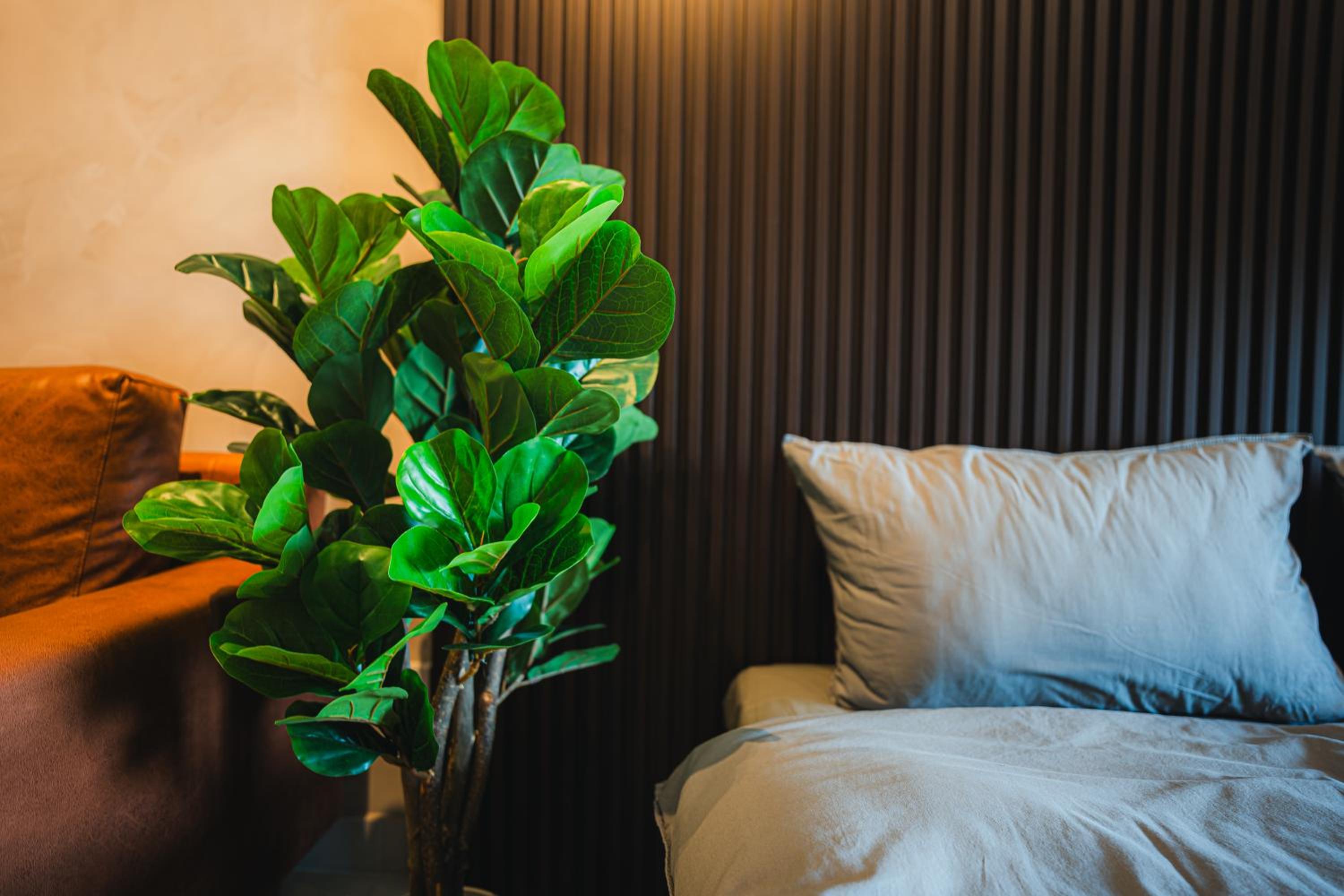 Louis Homestay at Netizen Residence SOHO photo 3