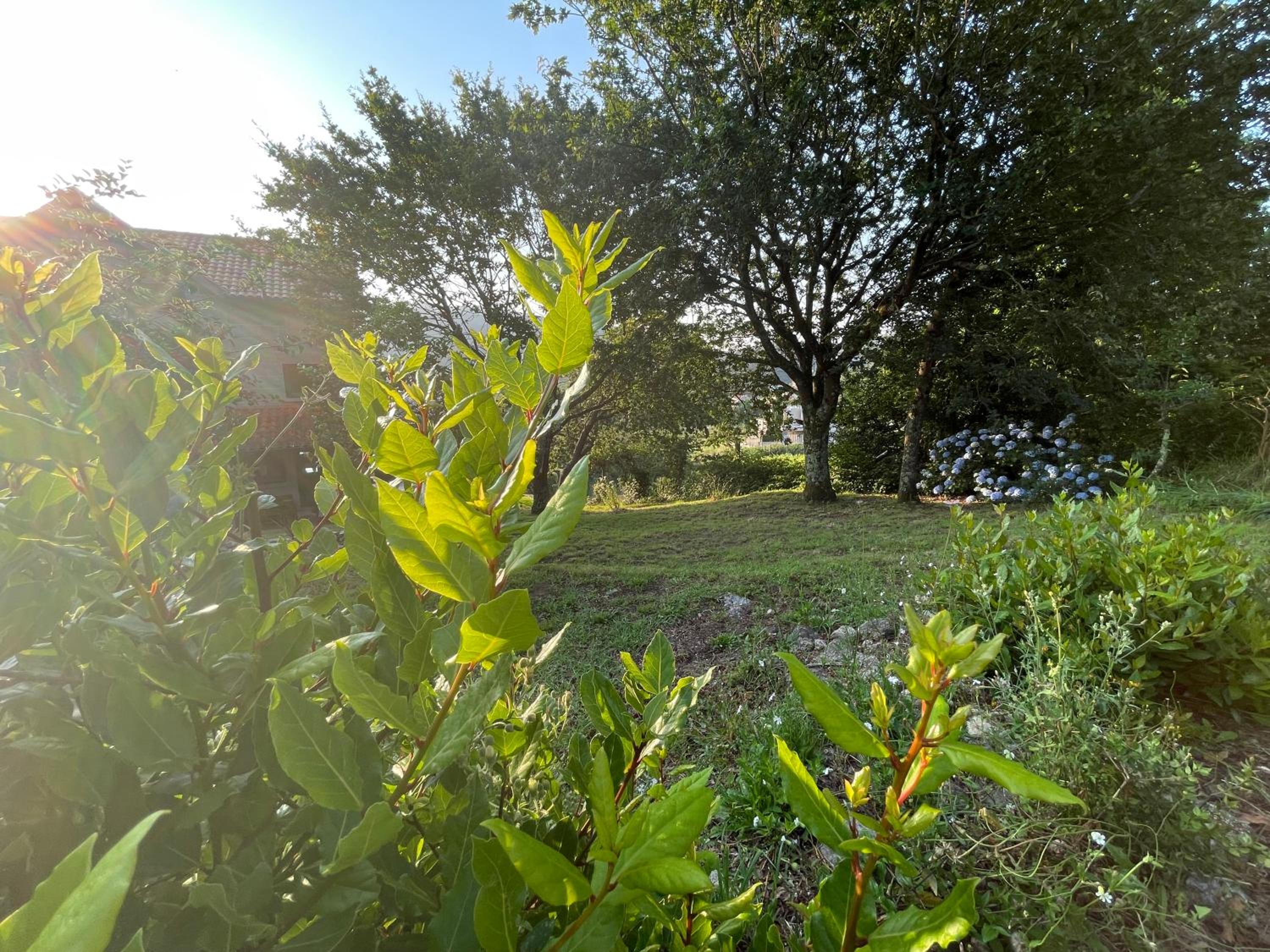 Photo 31