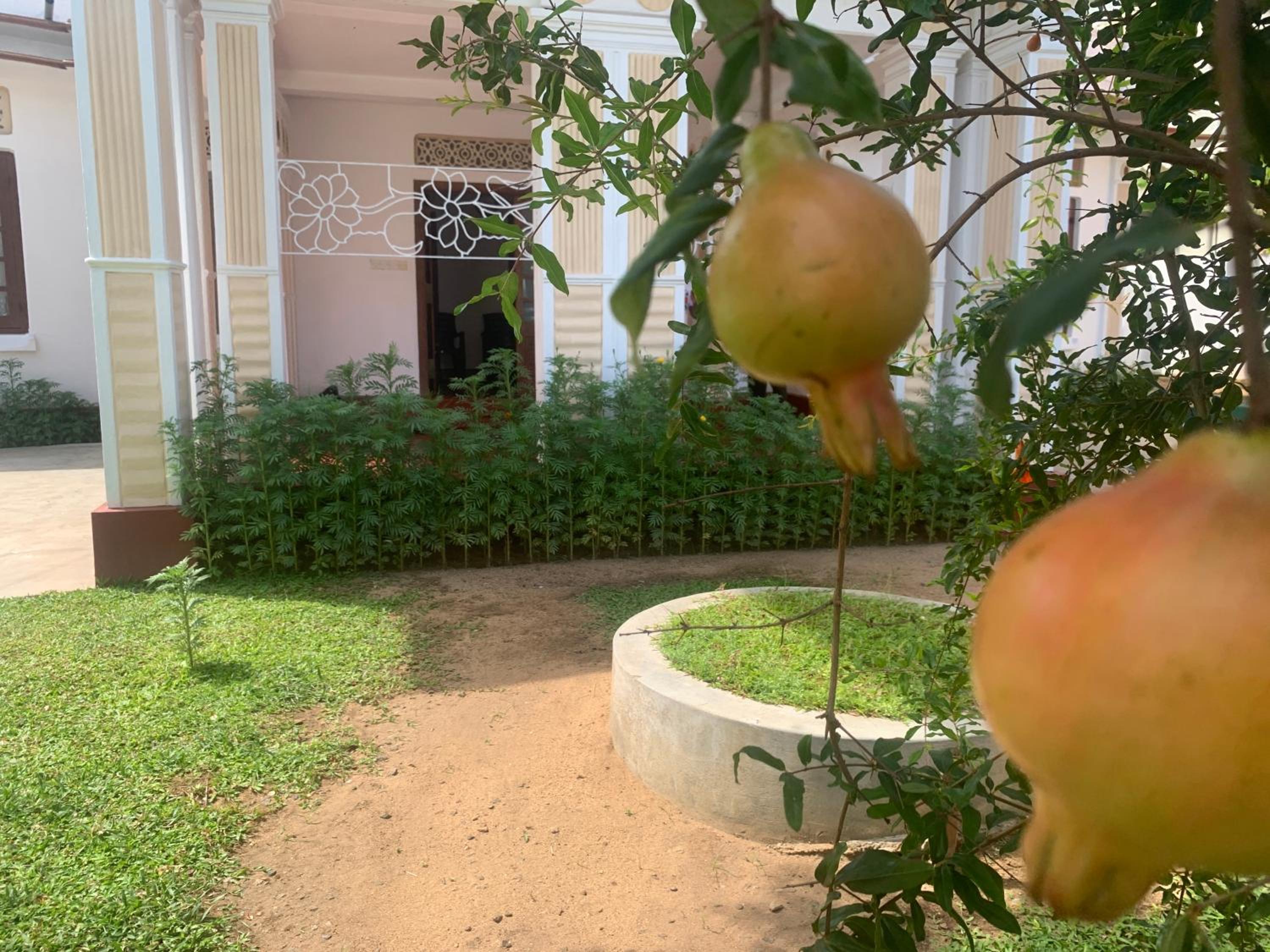 Bon Voyaage Villa