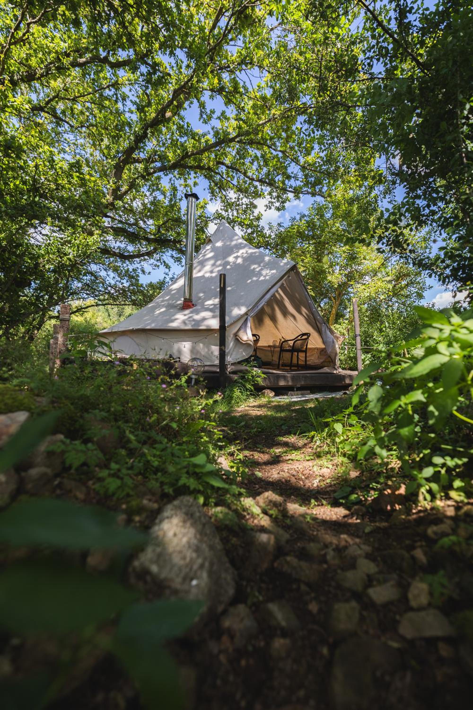 Glamping Hive