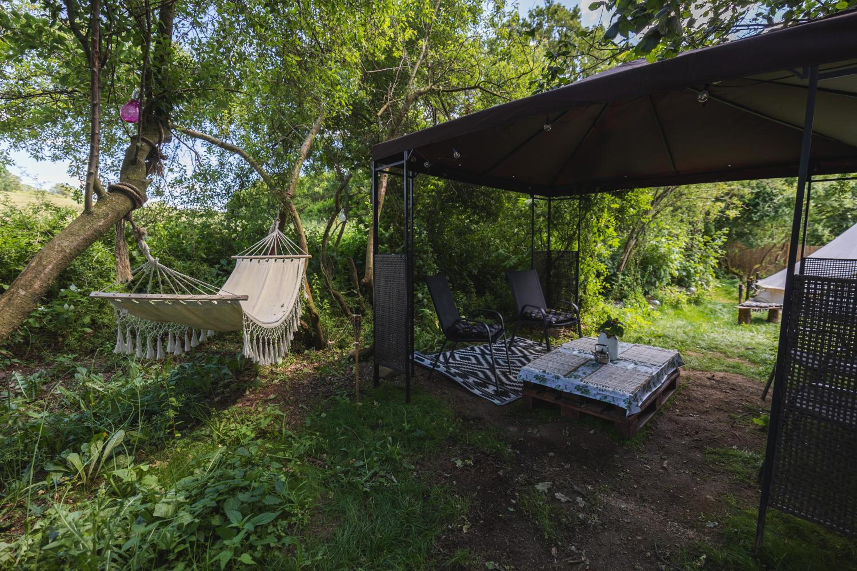 Glamping Hive