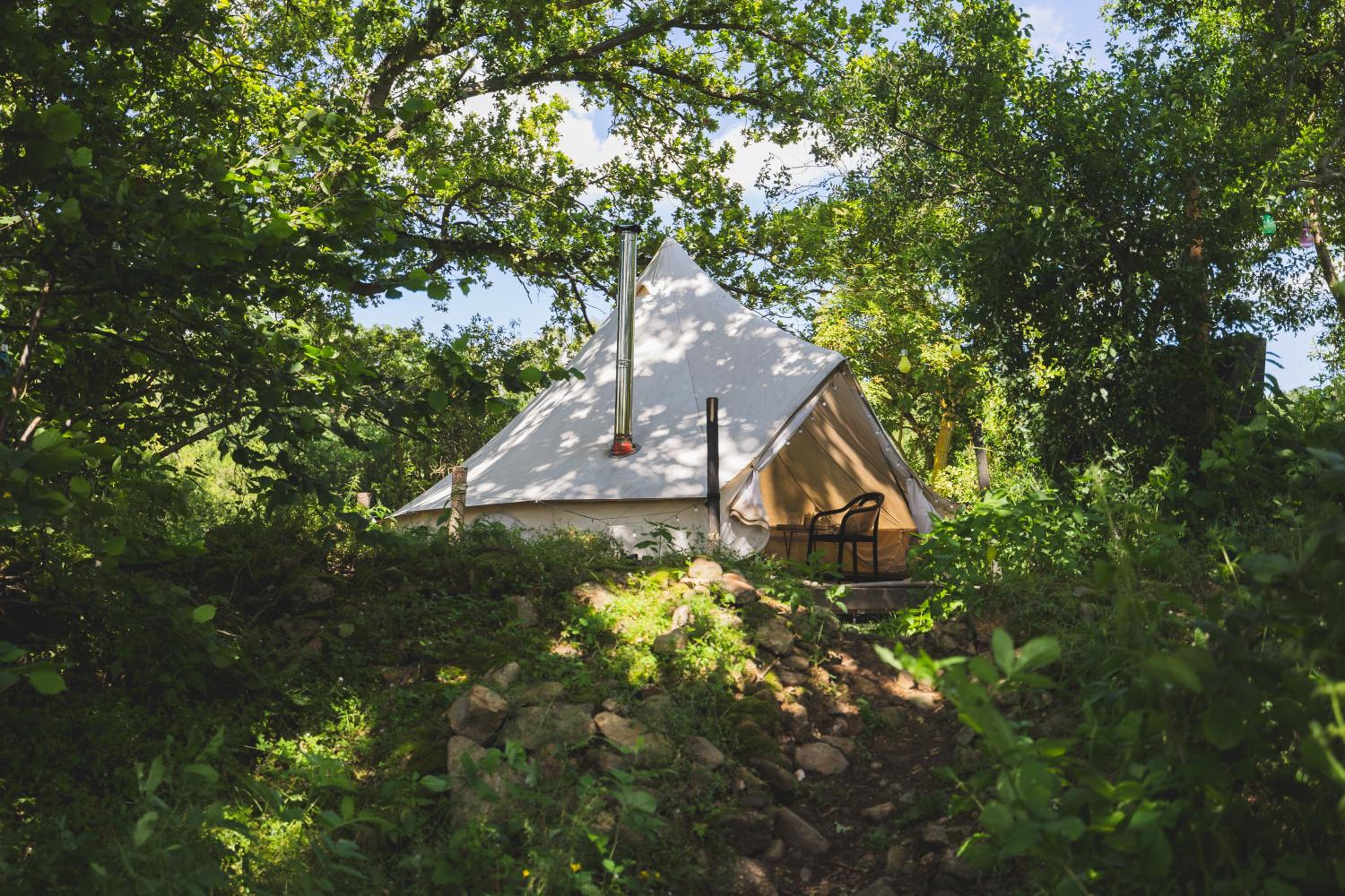 Glamping Hive