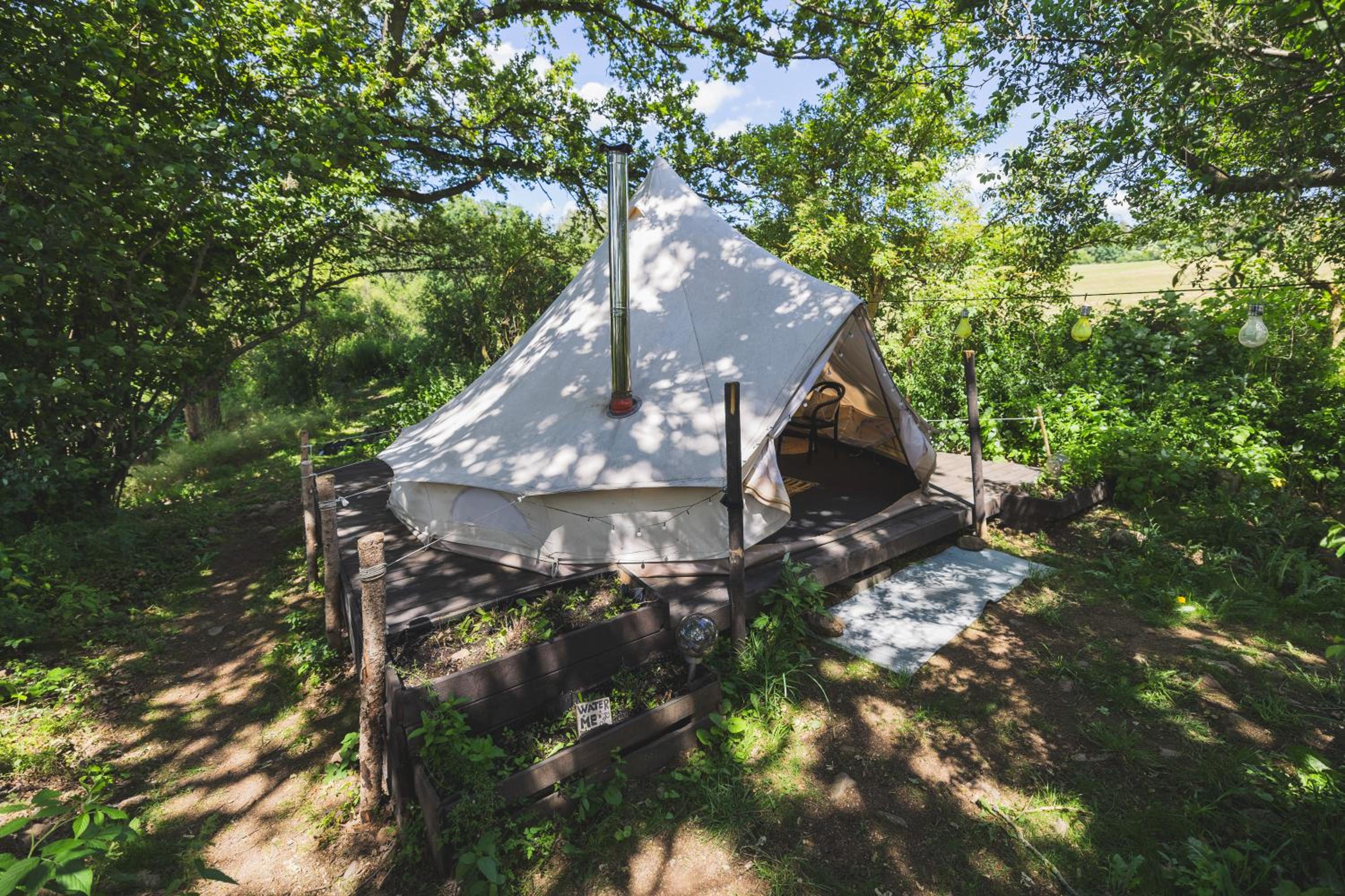 Glamping Hive