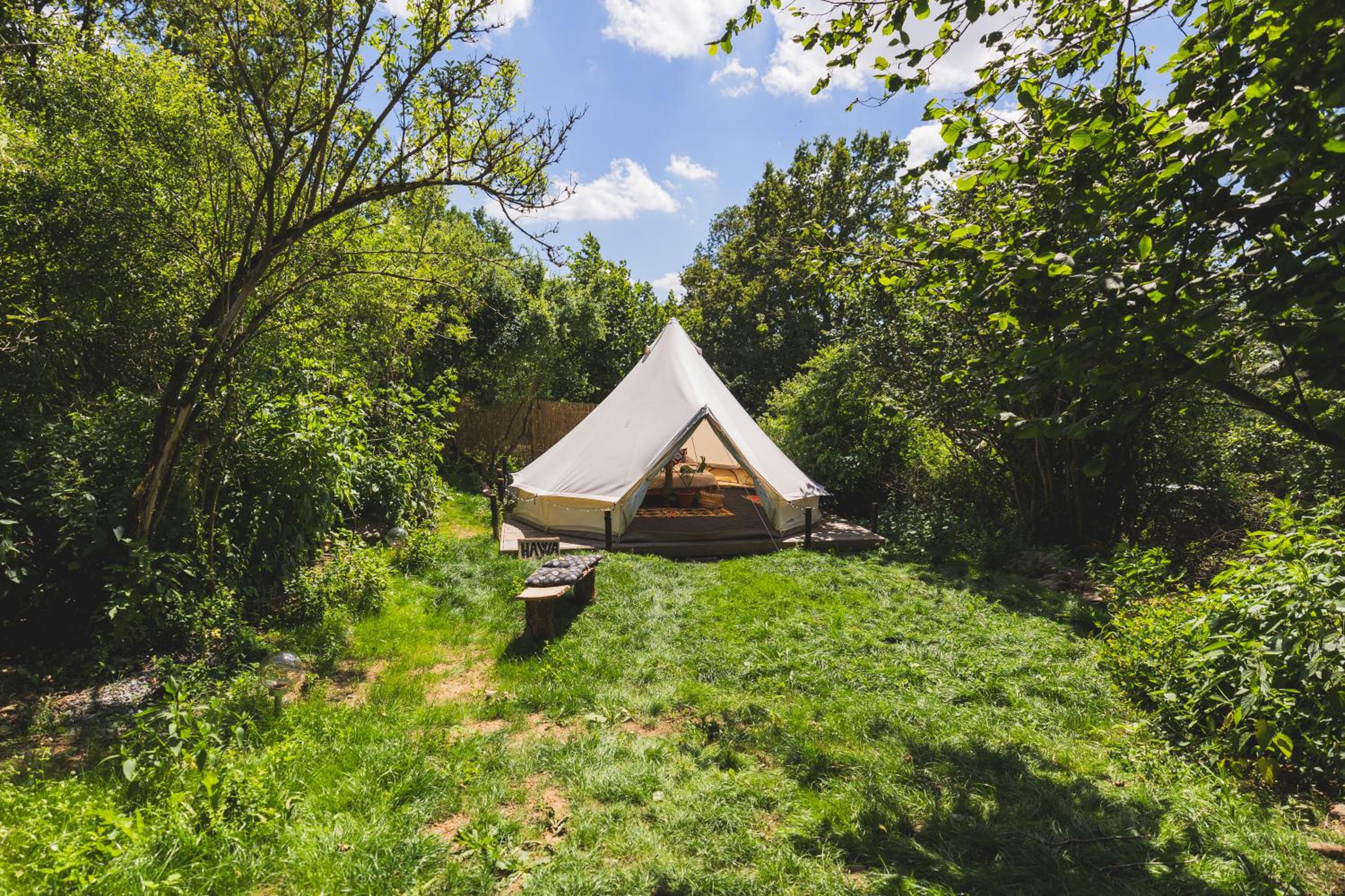 Glamping Hive