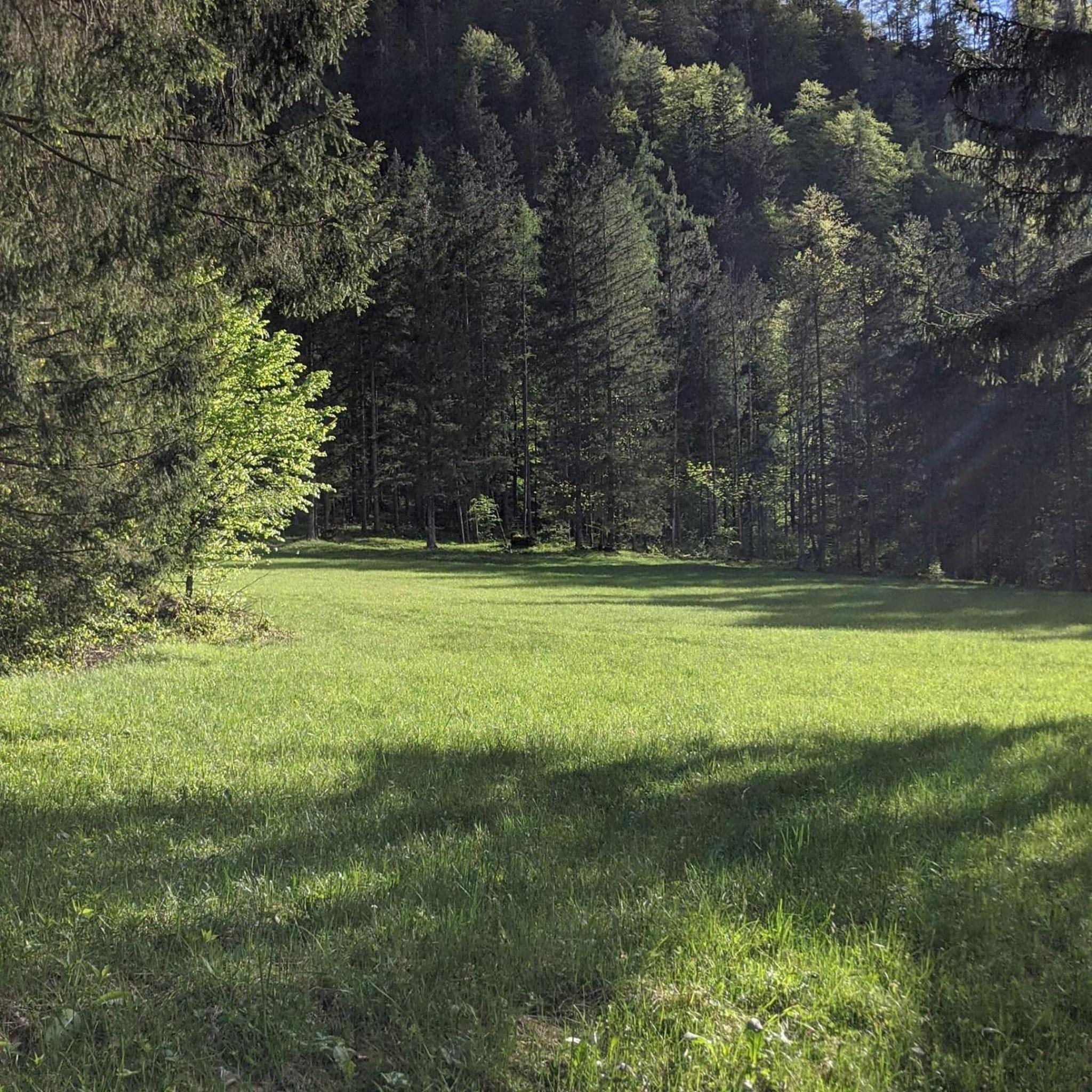 Ferienwohnungen Taverne