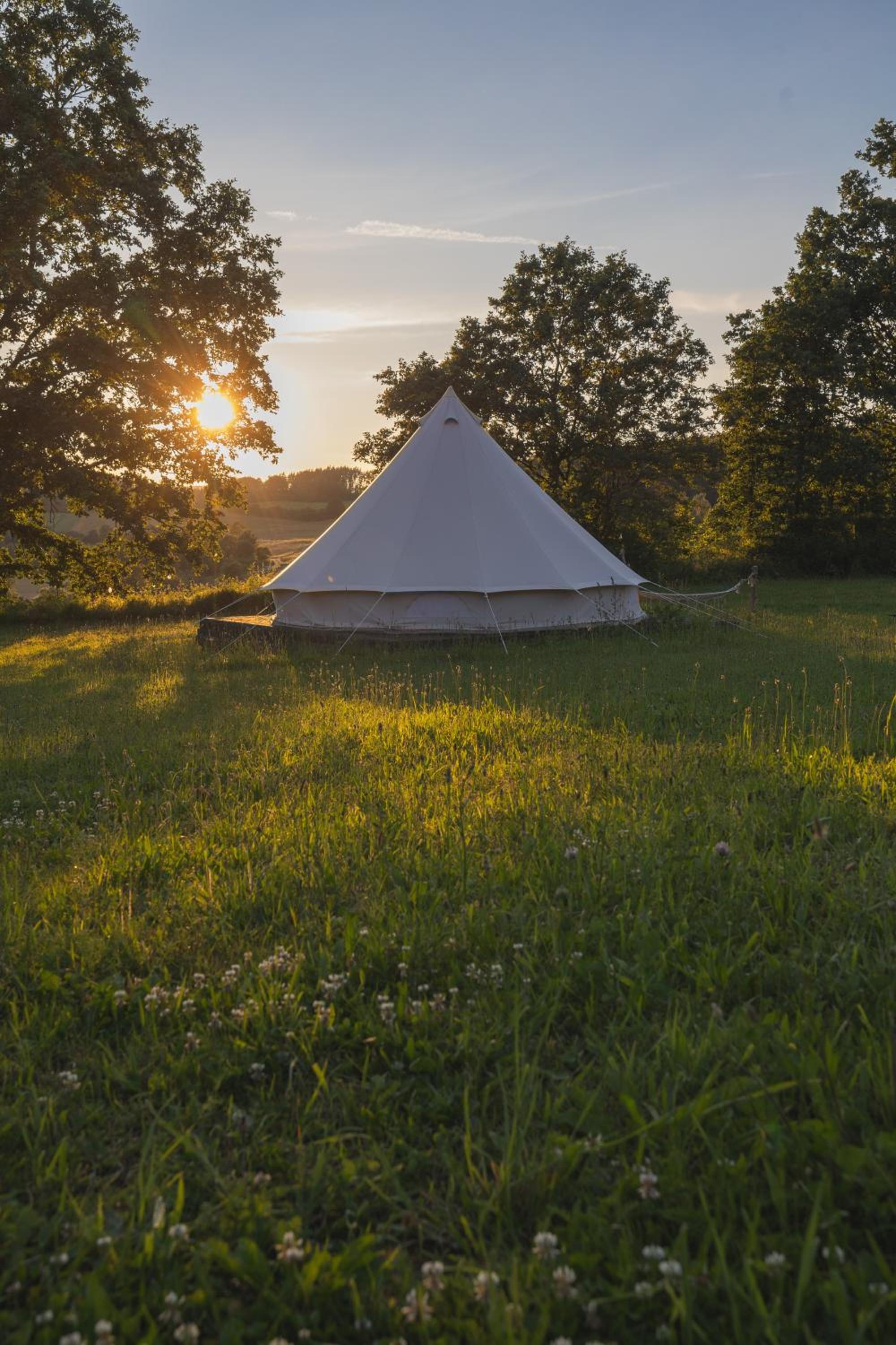 Glamping Hive