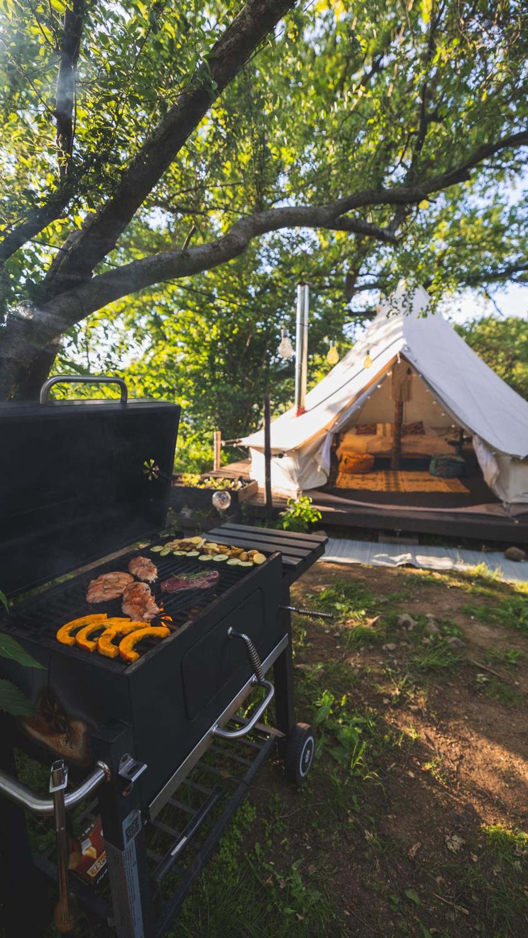 Glamping Hive