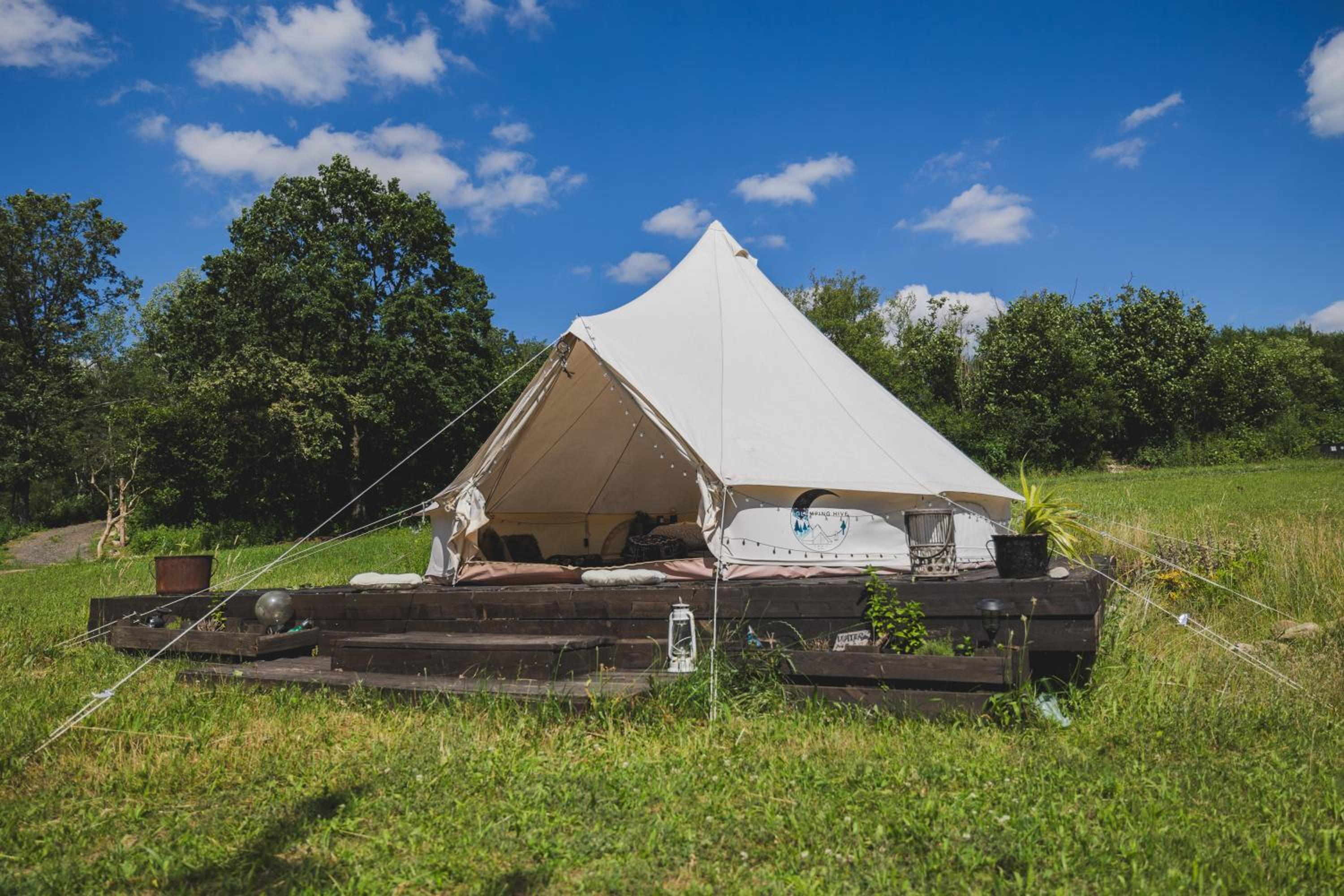 Glamping Hive