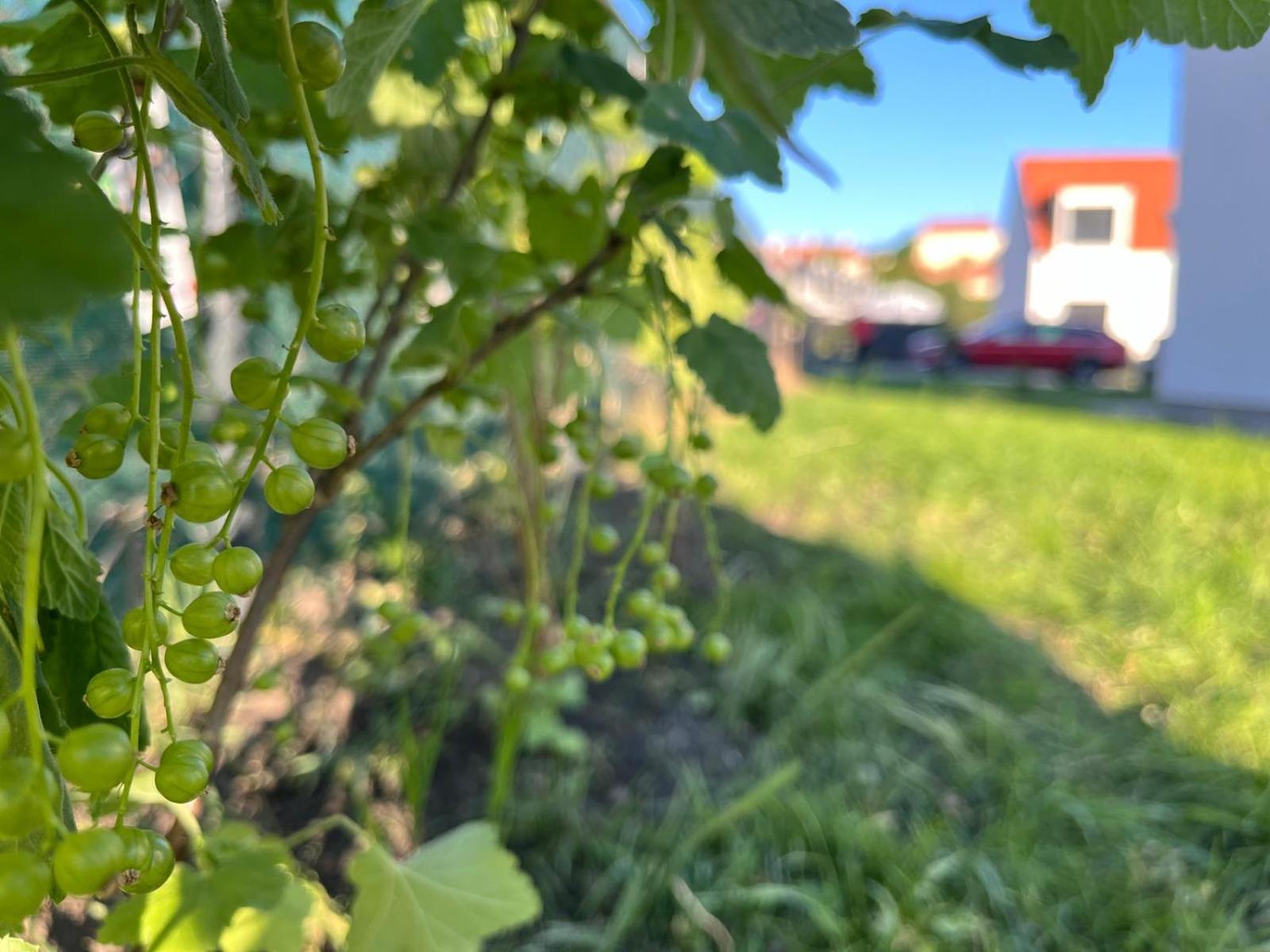 Apartmány Mikulovské zahrady