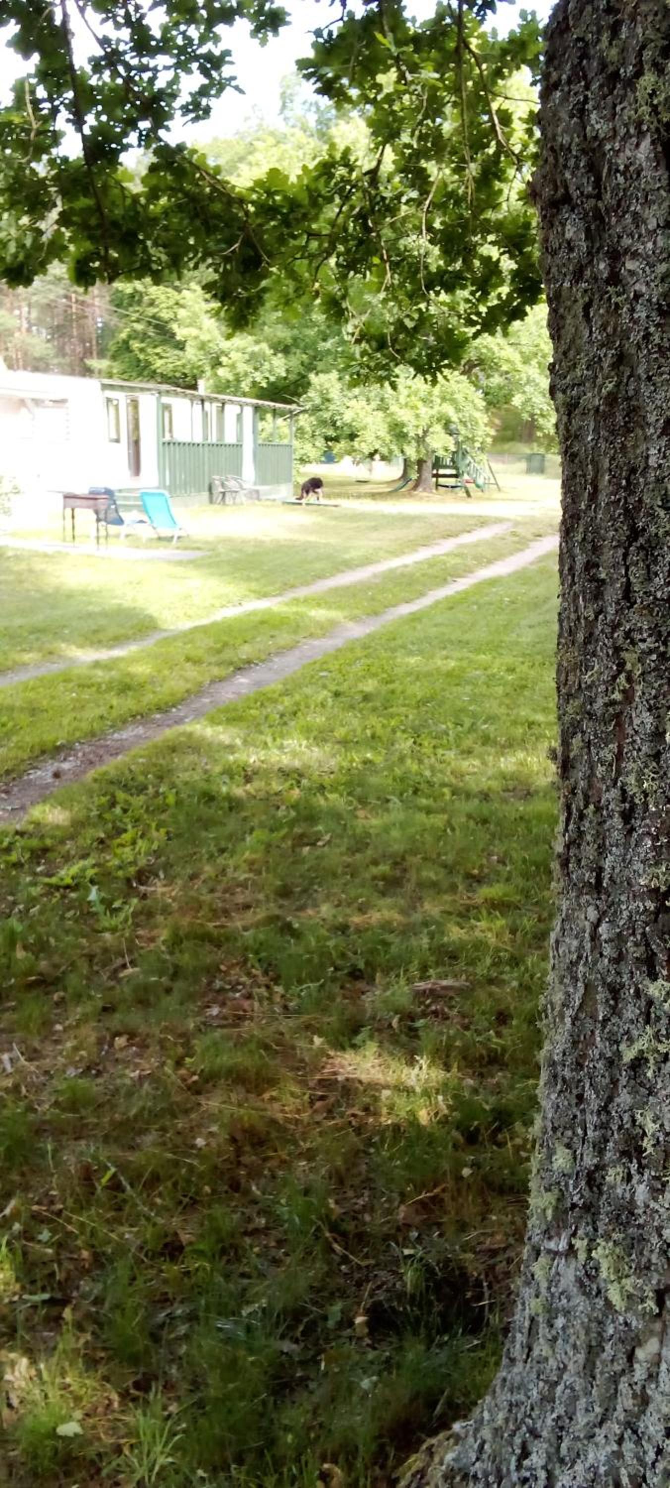 Photo 29
