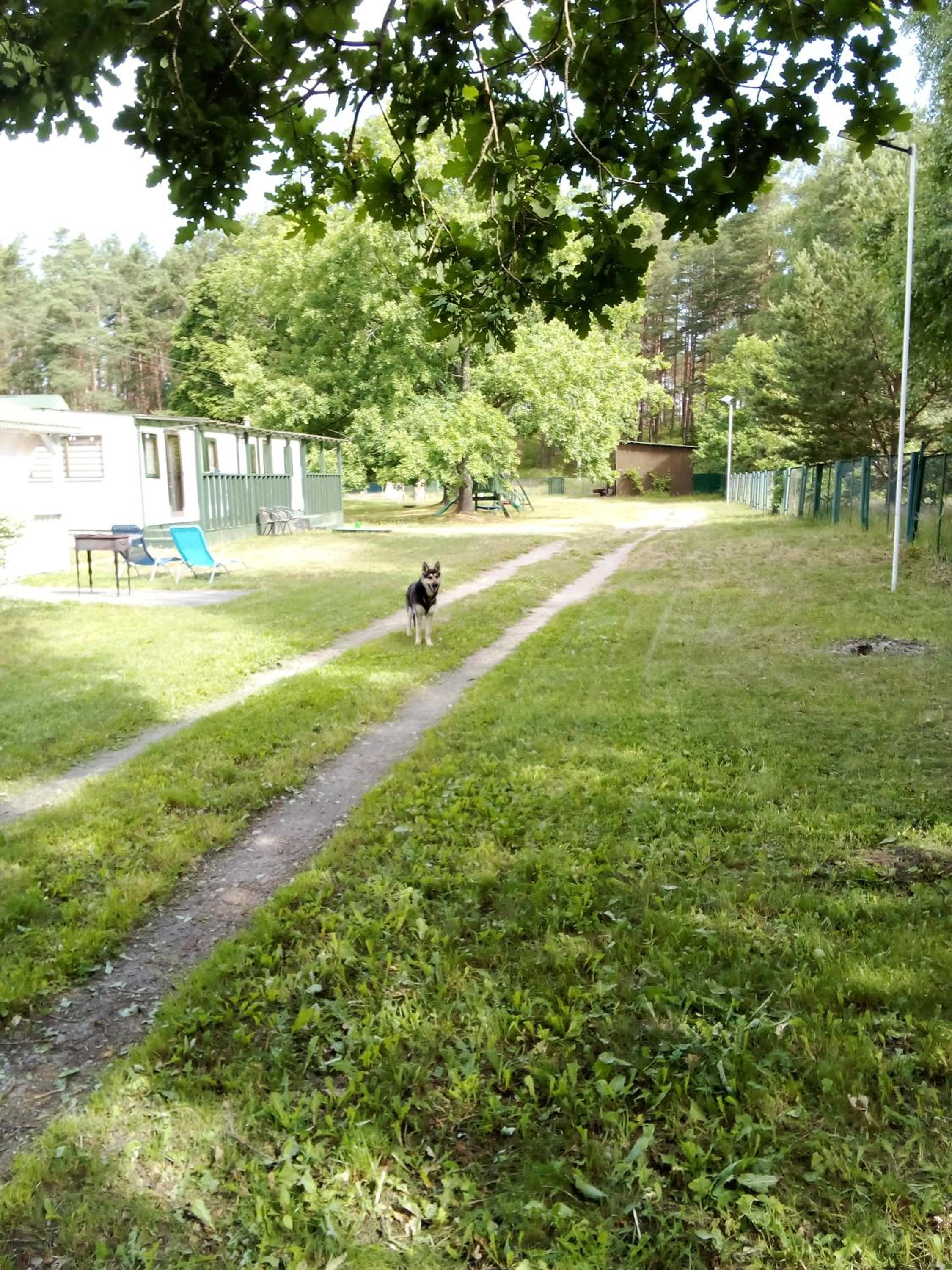 Photo 38