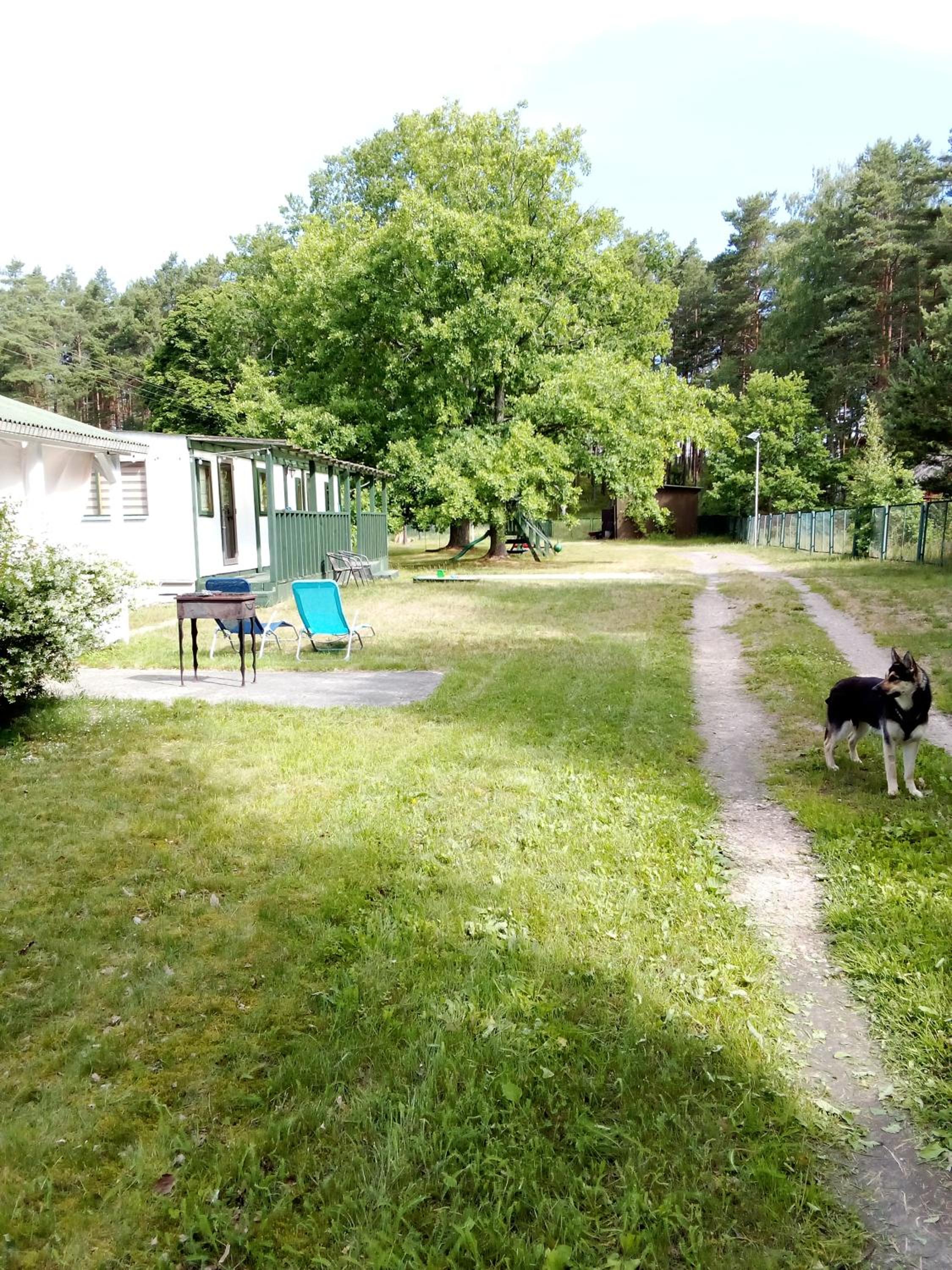 Photo 39