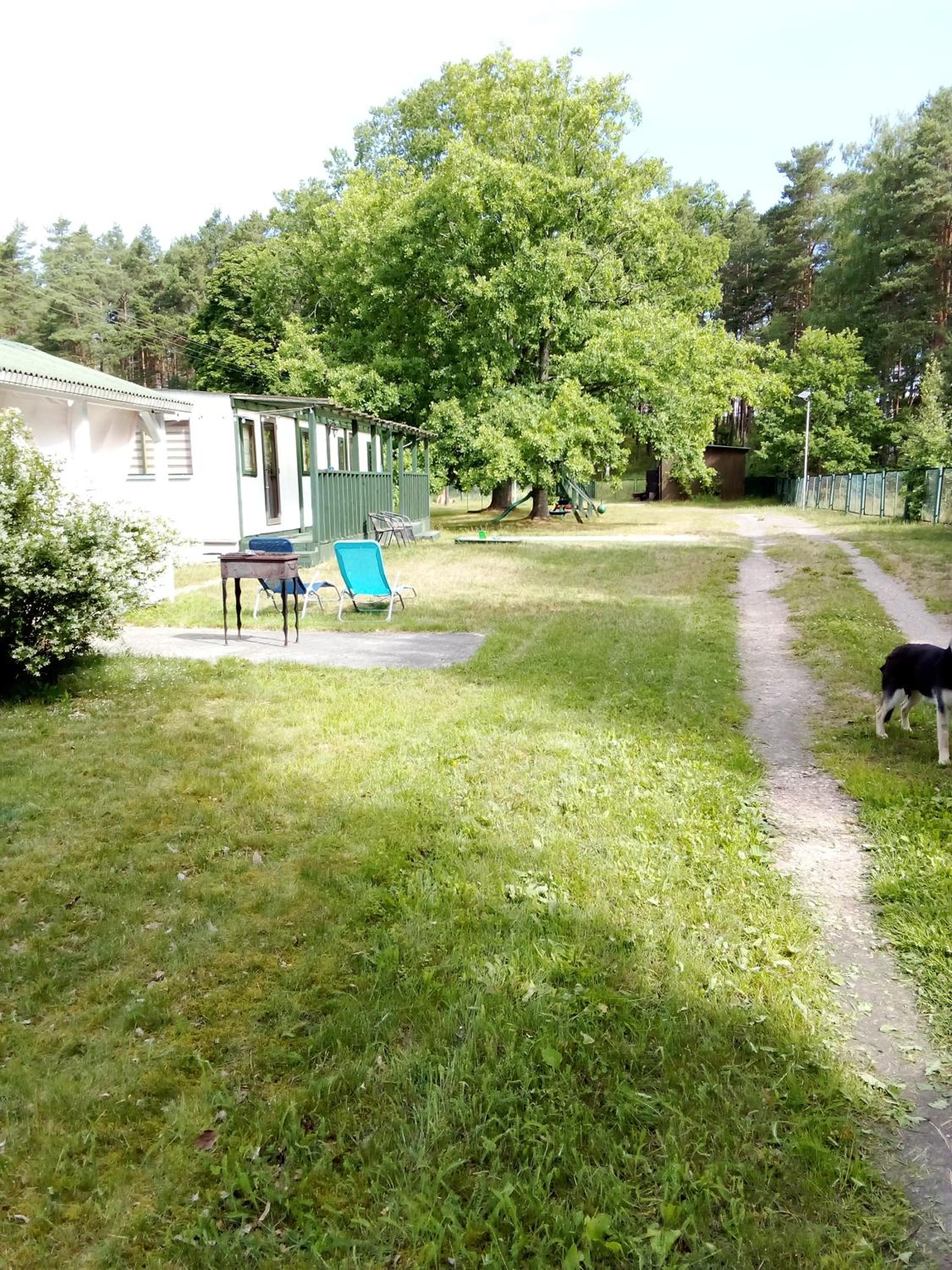 Photo 47