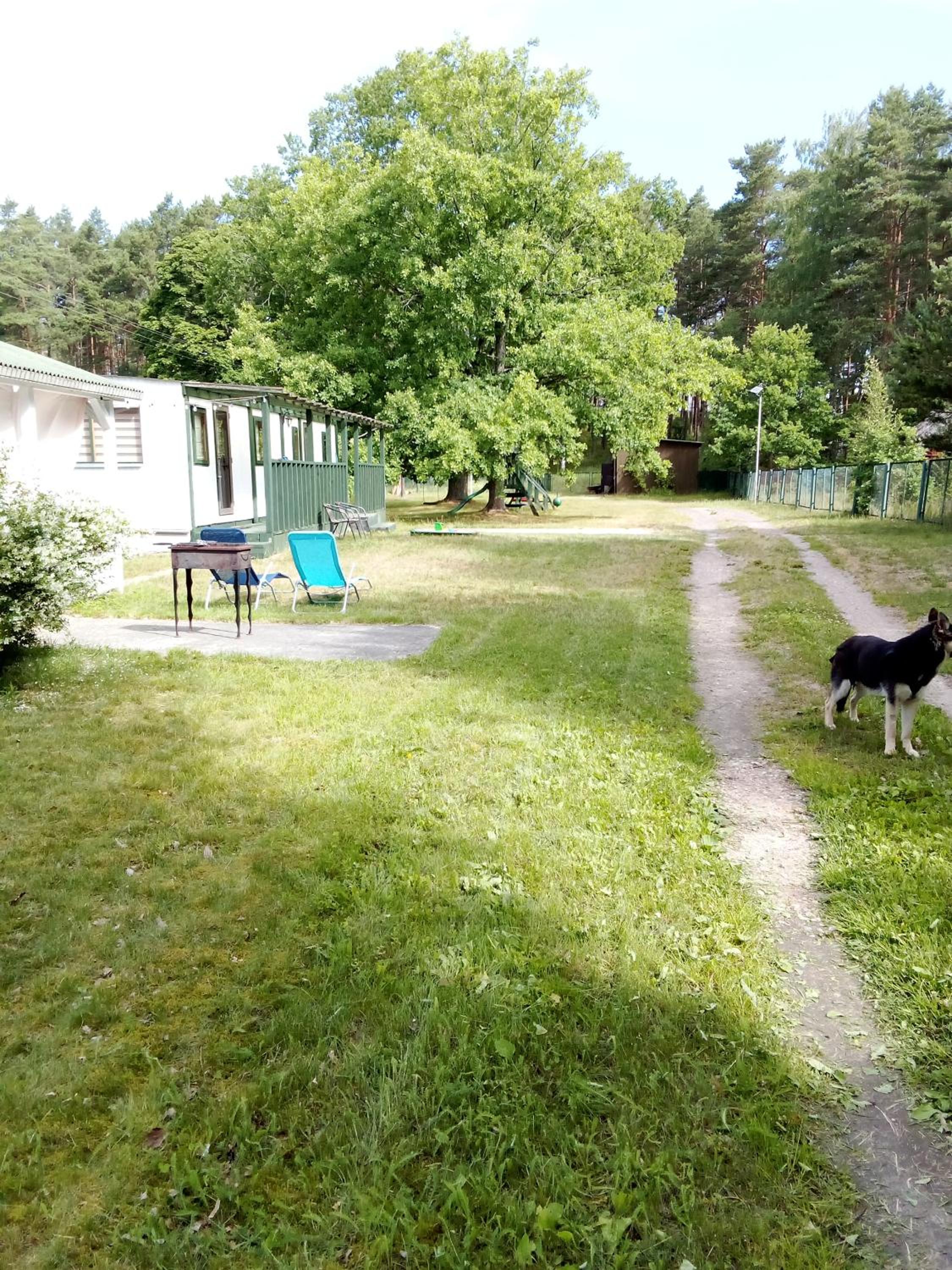 Photo 40