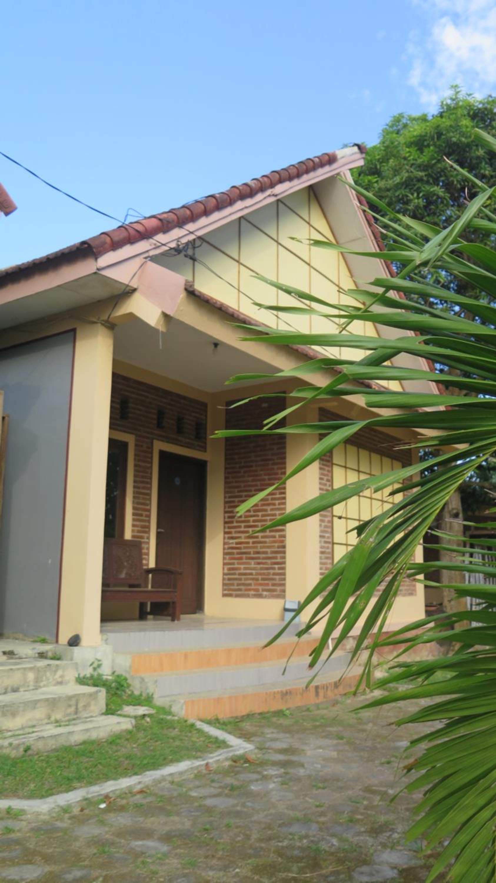 Mangrove Inn Karimunjawa view 2