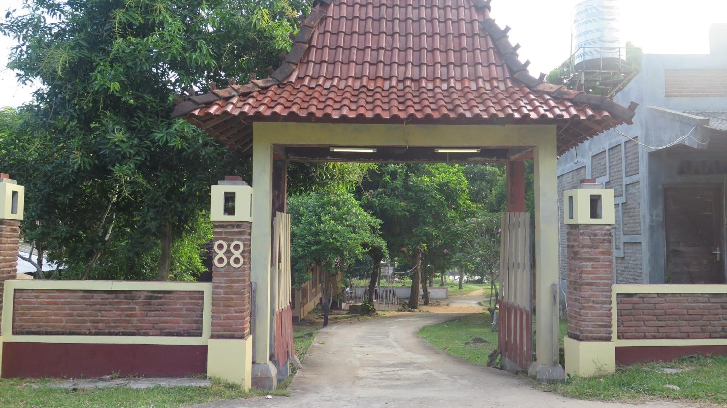 Photo 8