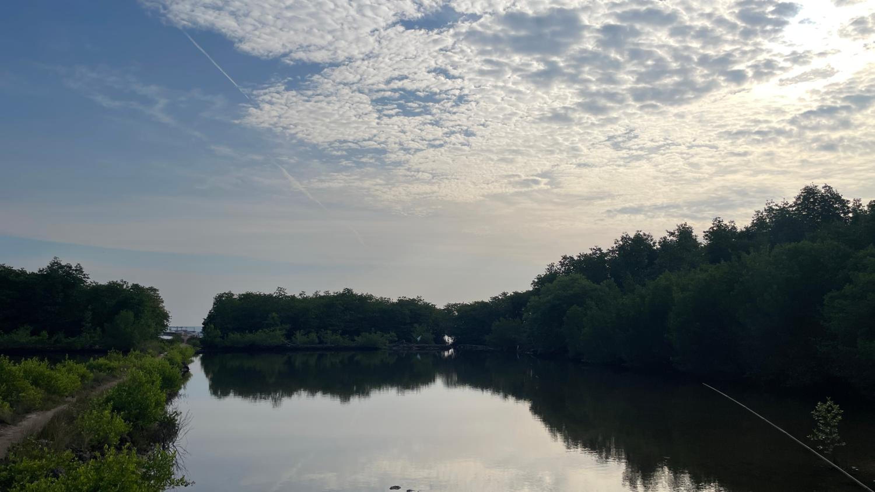 Mangrove Inn Karimunjawa view 3