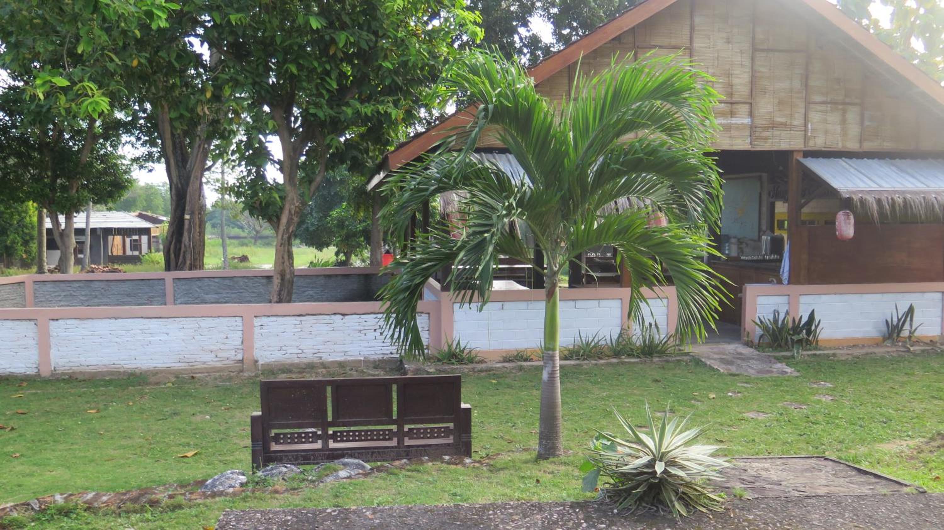 Photo 13