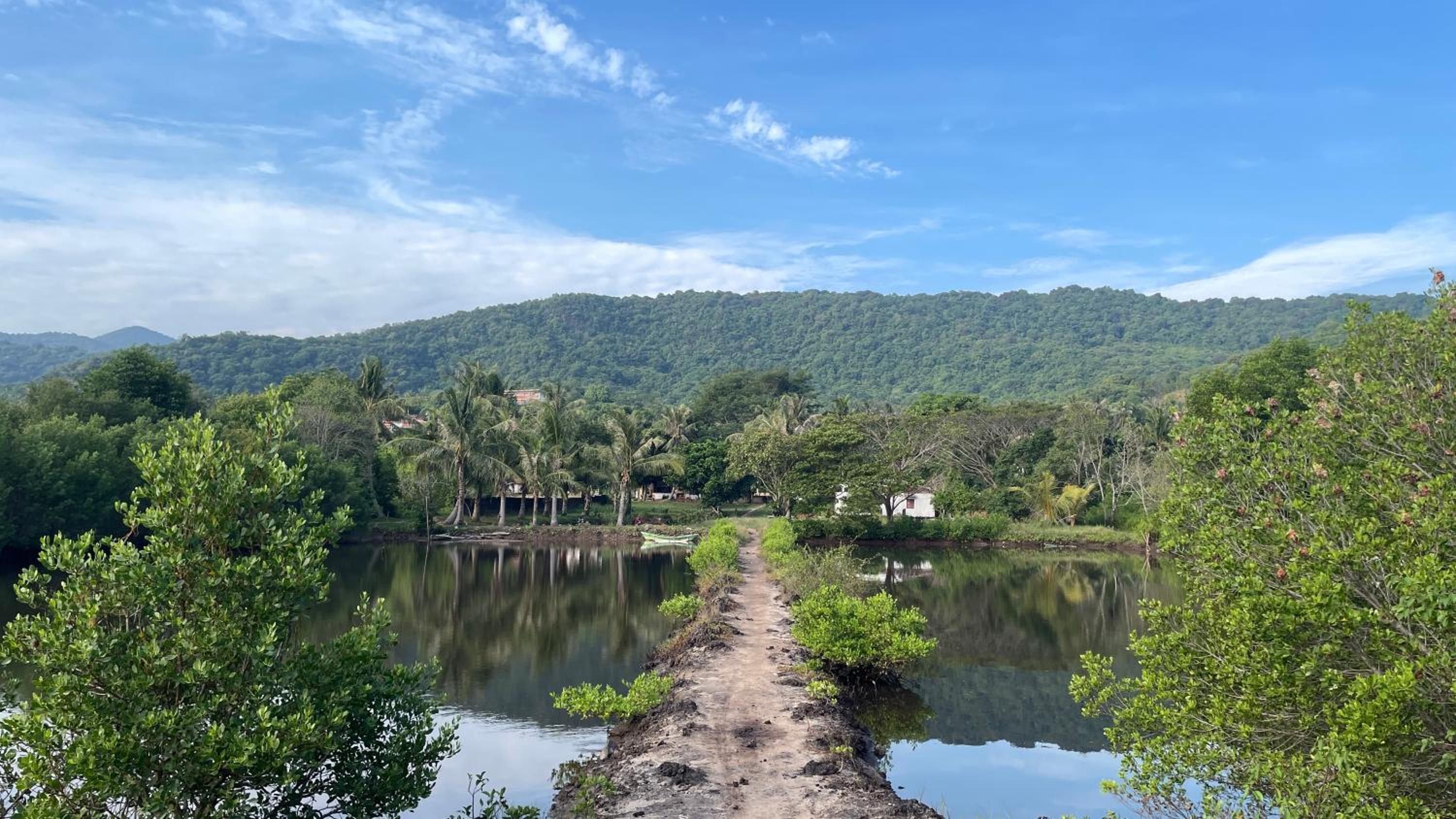 Photo 30