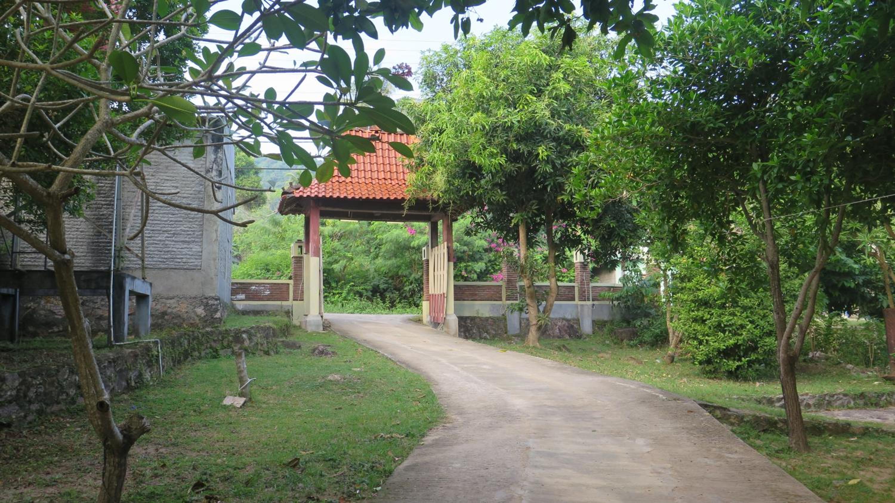 Photo 29
