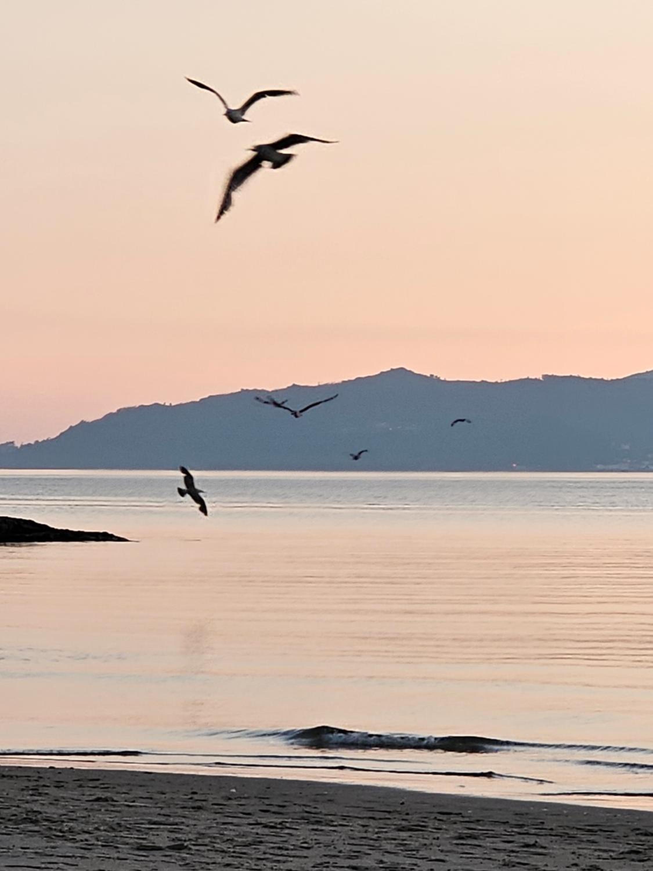 El paraiso