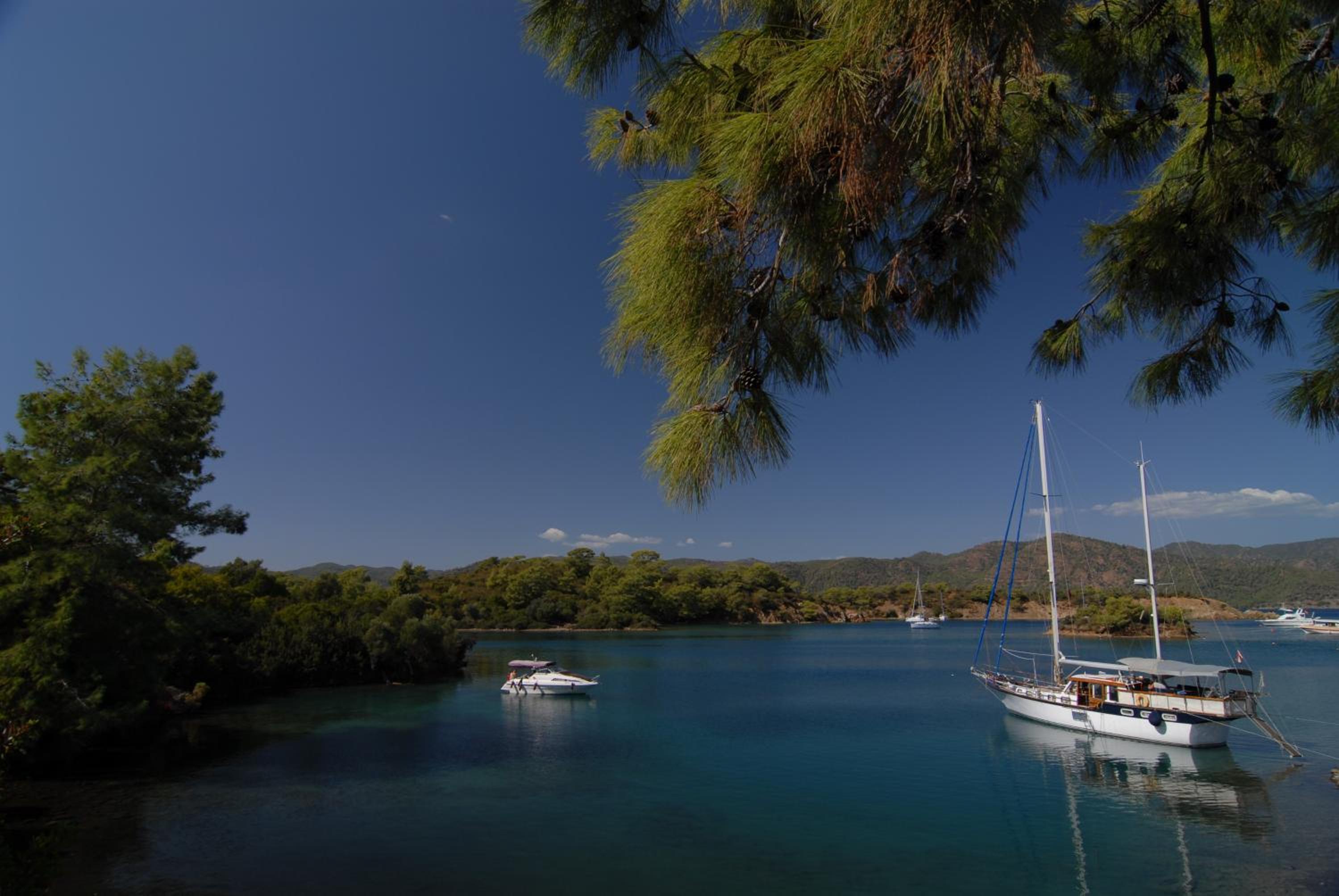 Kabak Avalon Bungalows