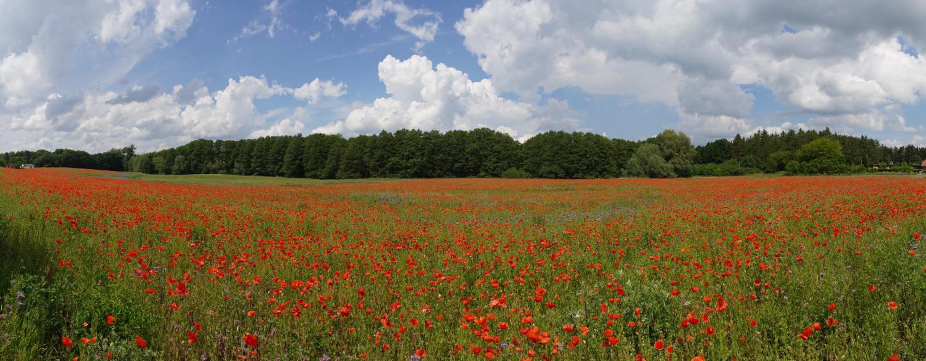 Ferienwohnungen am Krakower See