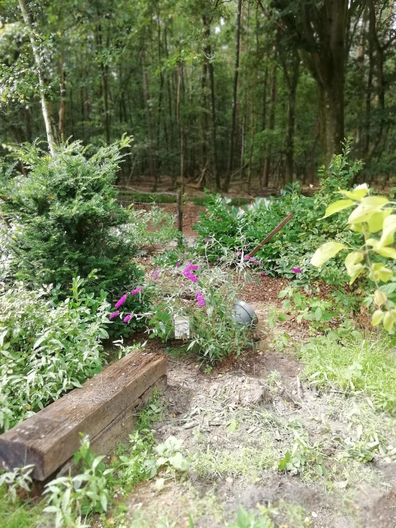 Photo 29