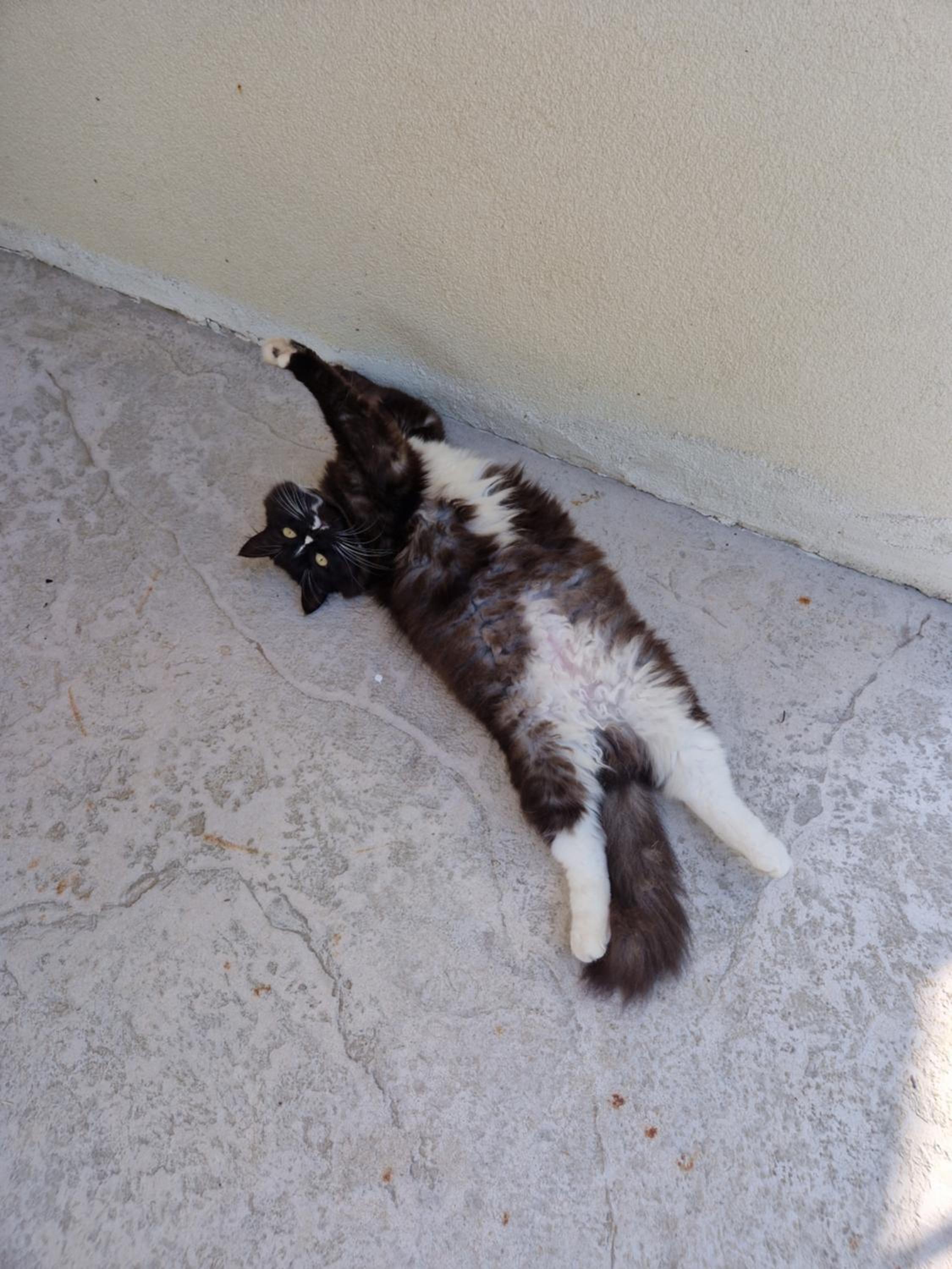 Casa di Tuco photo 4