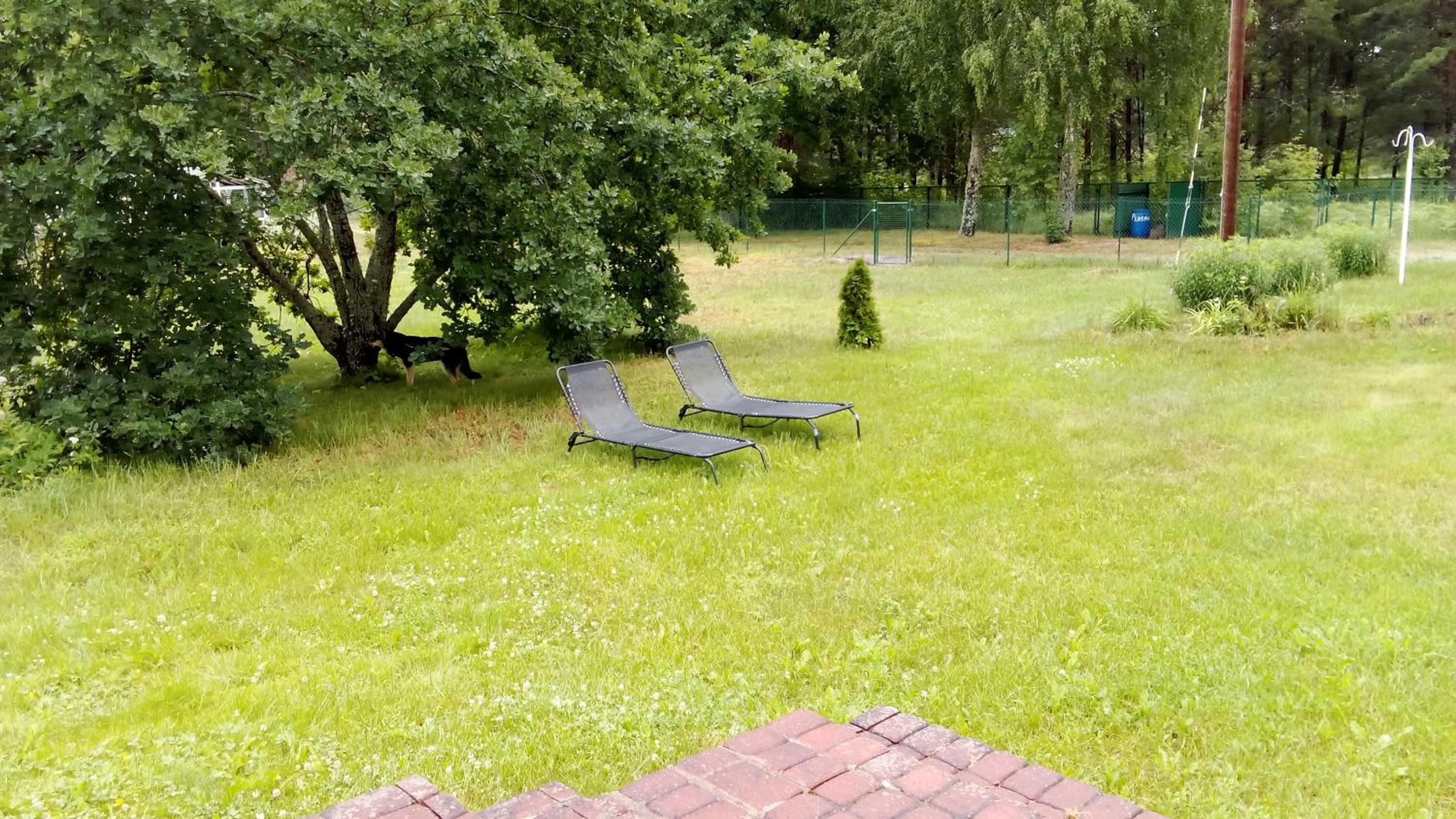 Atpūtasvietapiejūras Kotedža Piekrastē