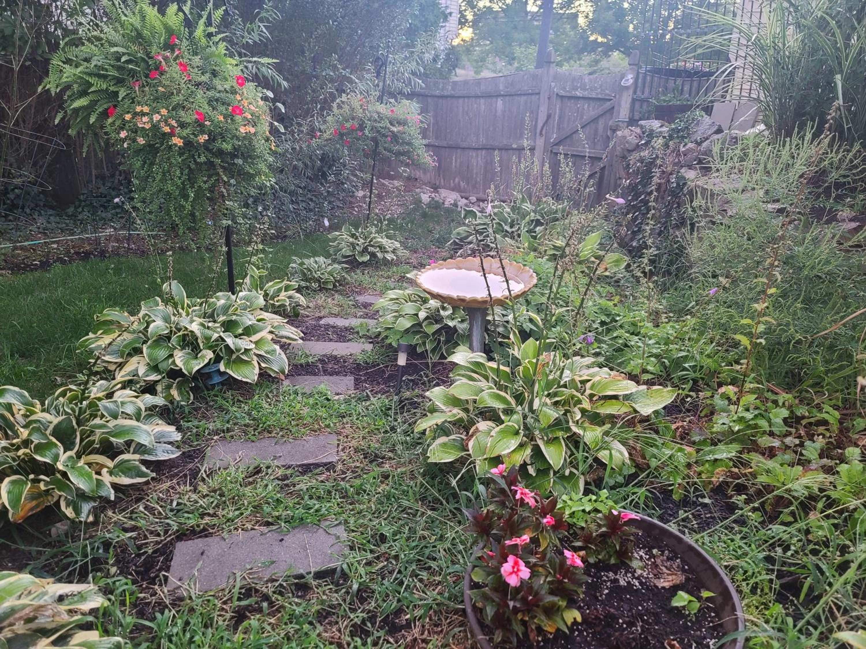 Photo 18