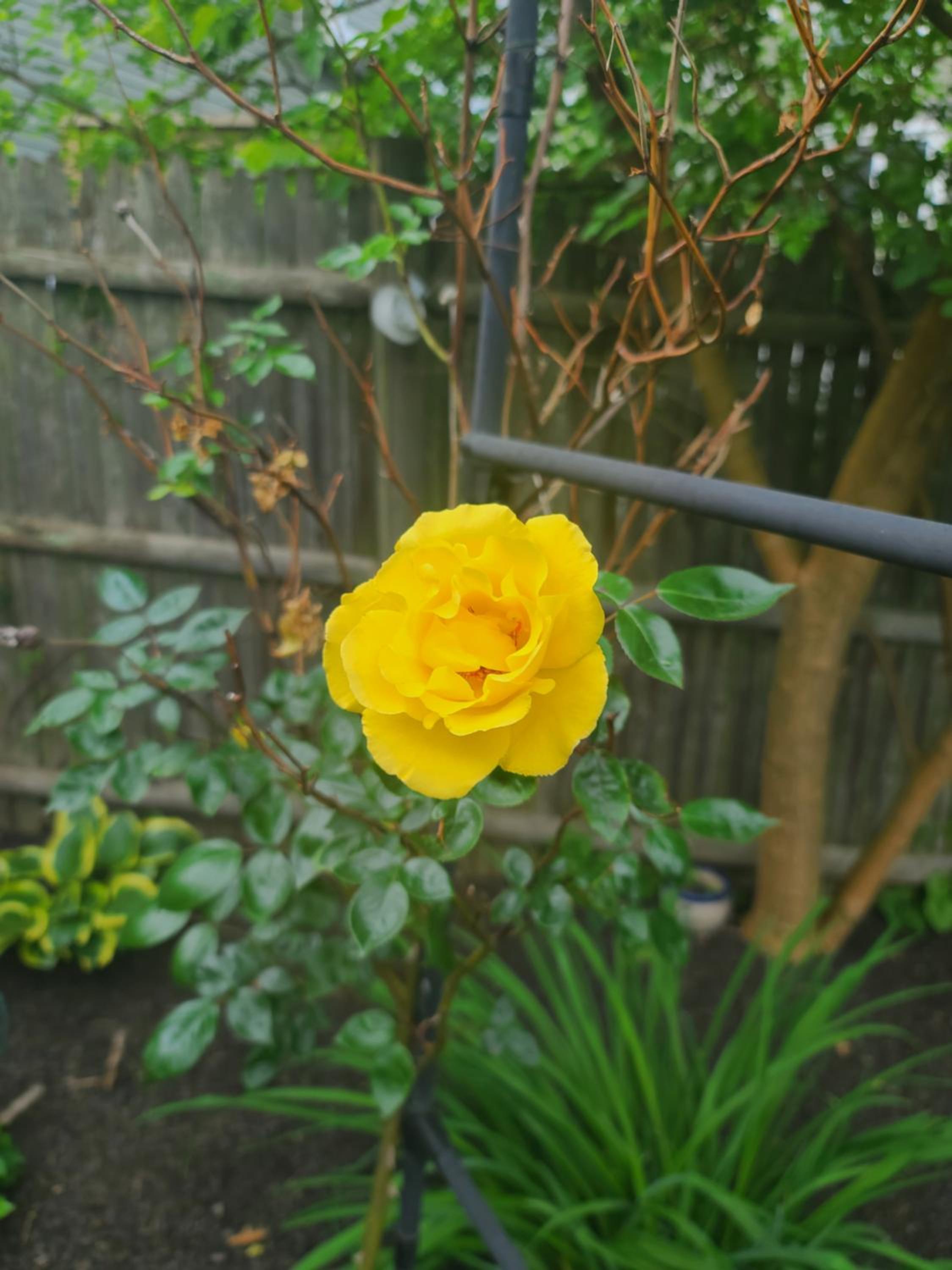Photo 19