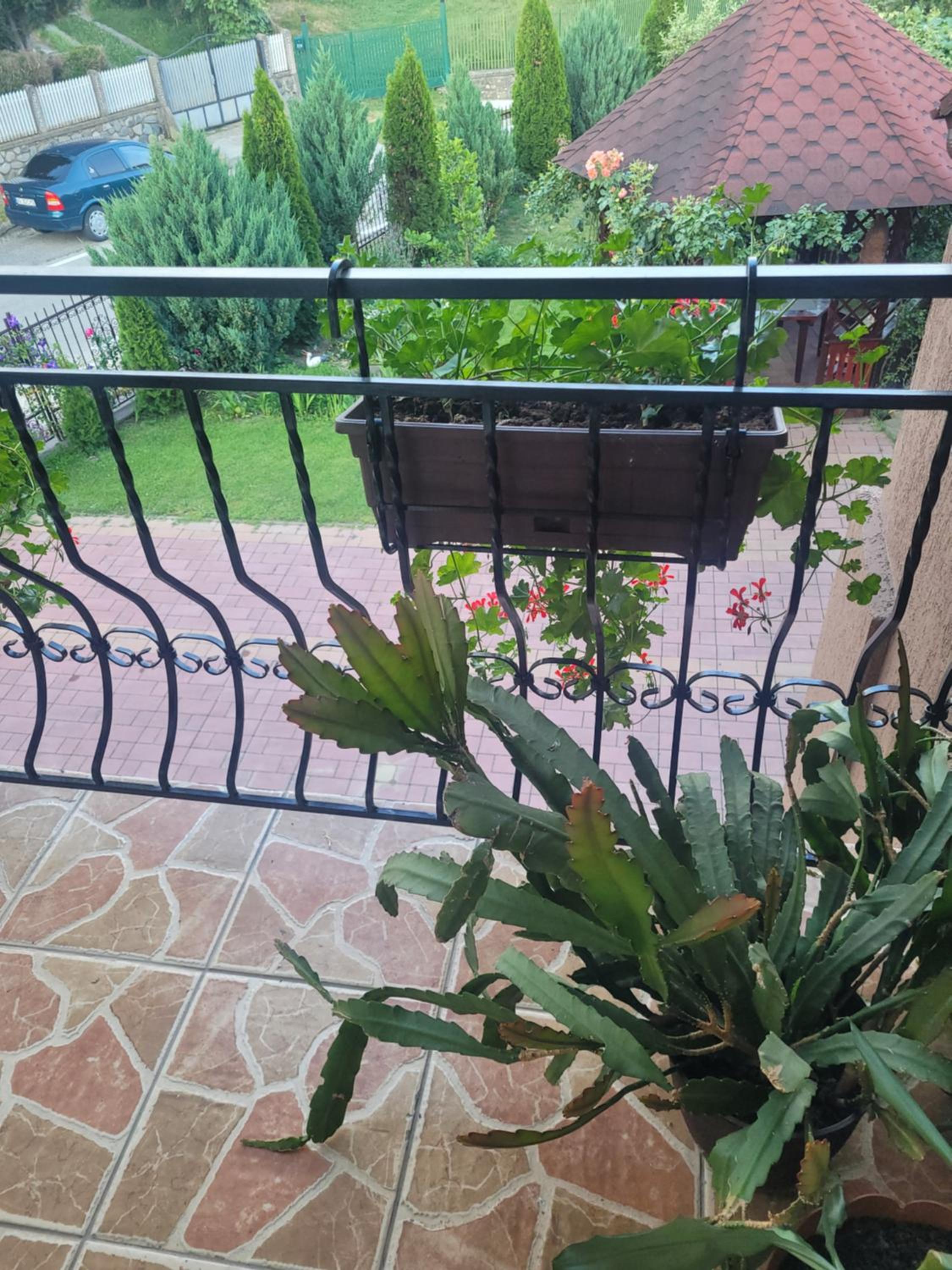 Pensiunea Diana view 2