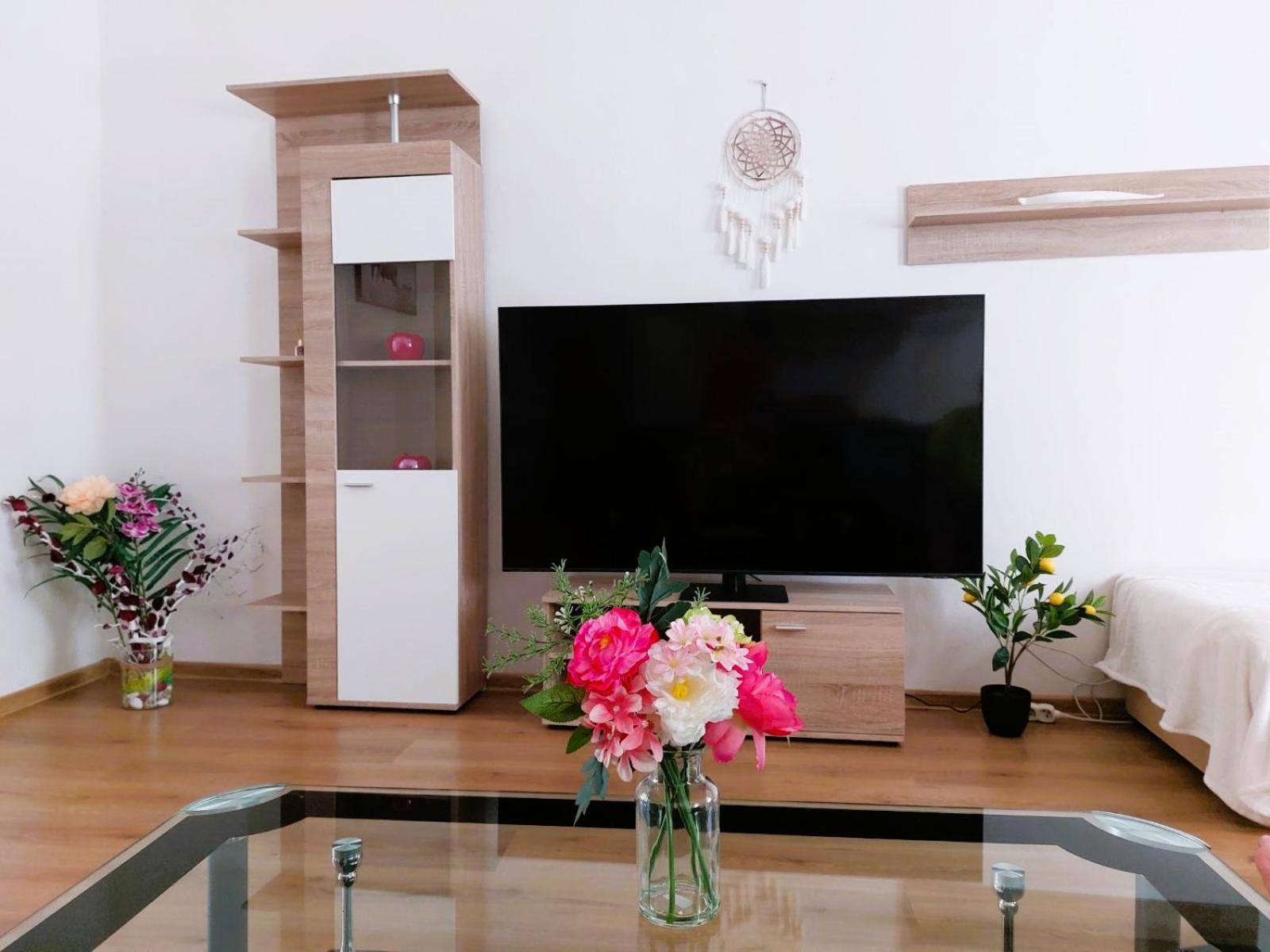 ČSA 3 Central City Apartment Hradec Králové