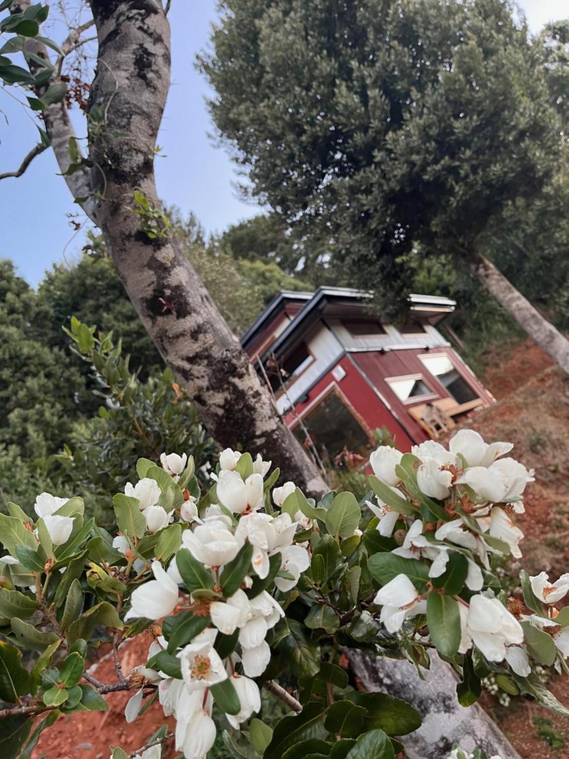 Cabañas japonesas en el bosque KURO y AKA
