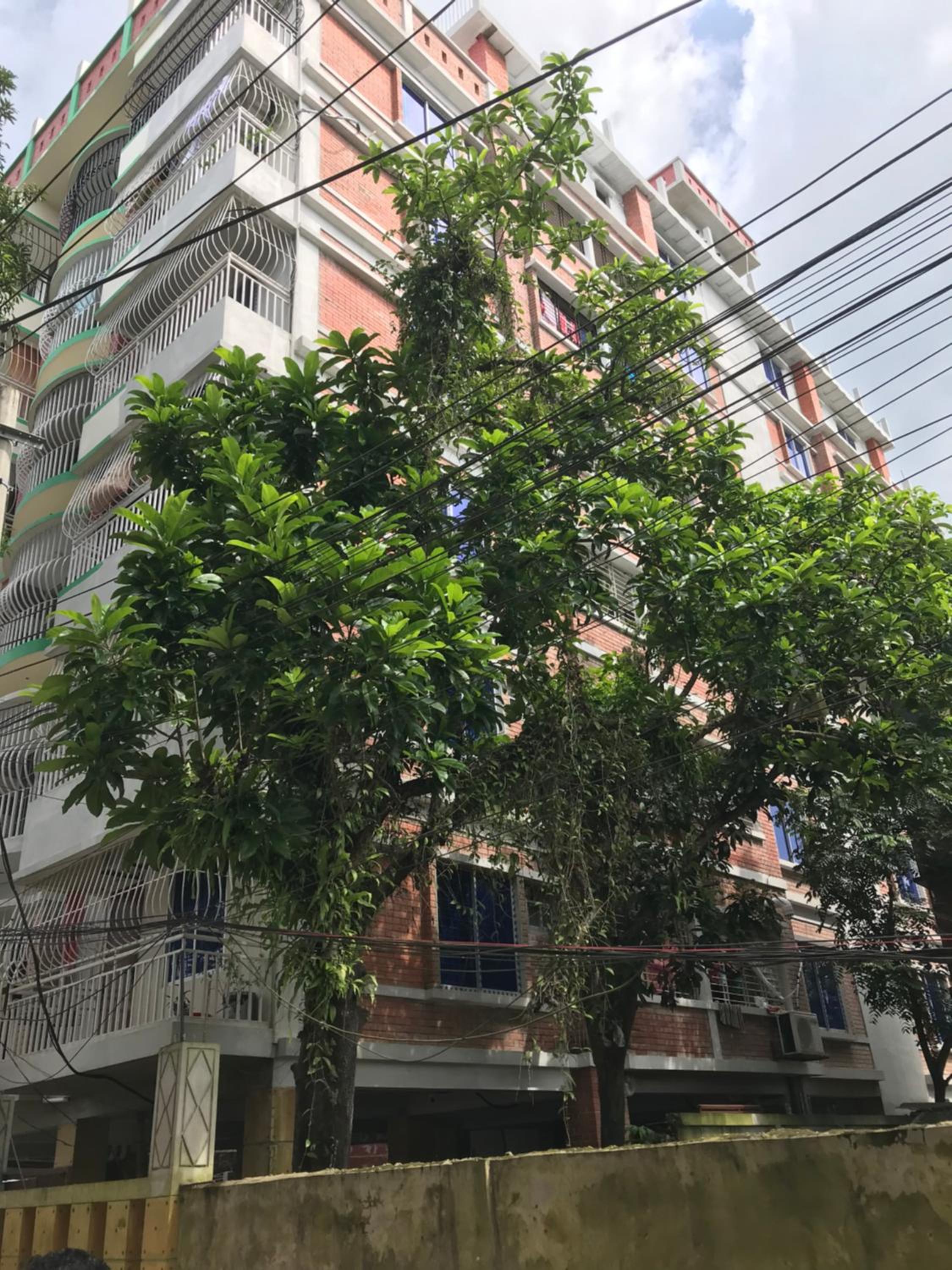 Orange Home