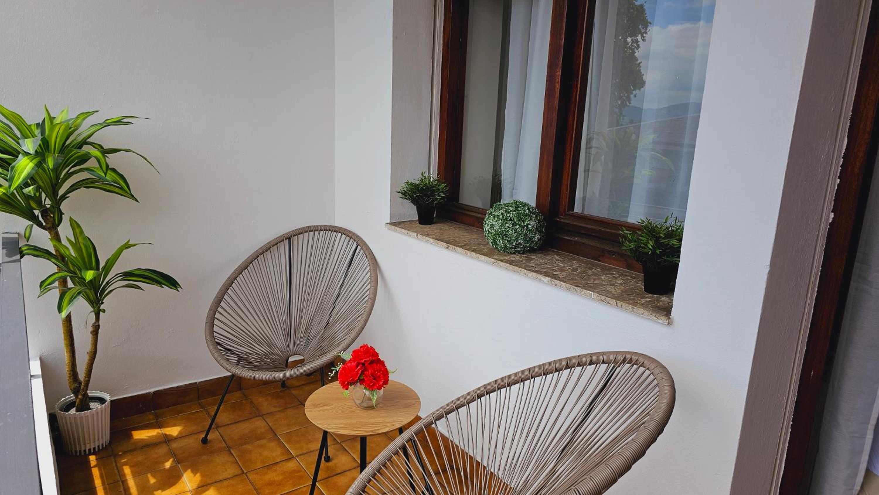 Oliva Rooms 3000