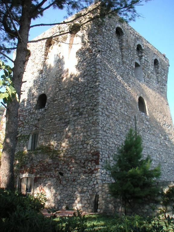 Photo 24