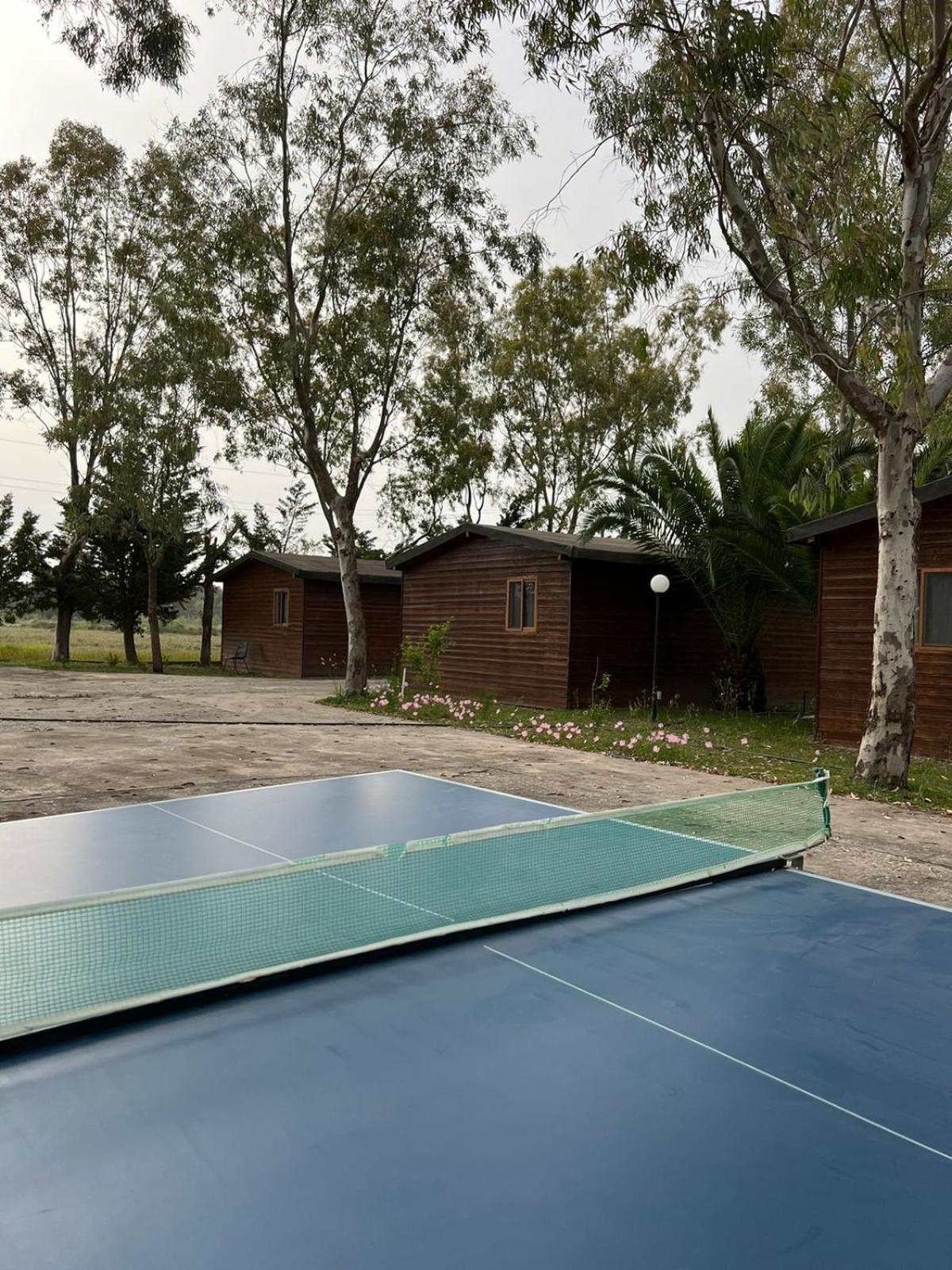 Laguna Park Divjake Wood Cabins