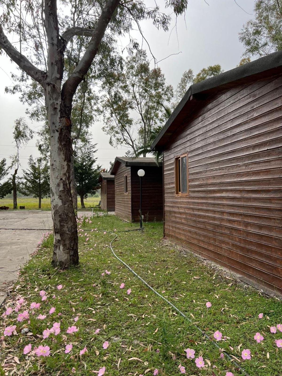 Laguna Park Divjake Wood Cabins