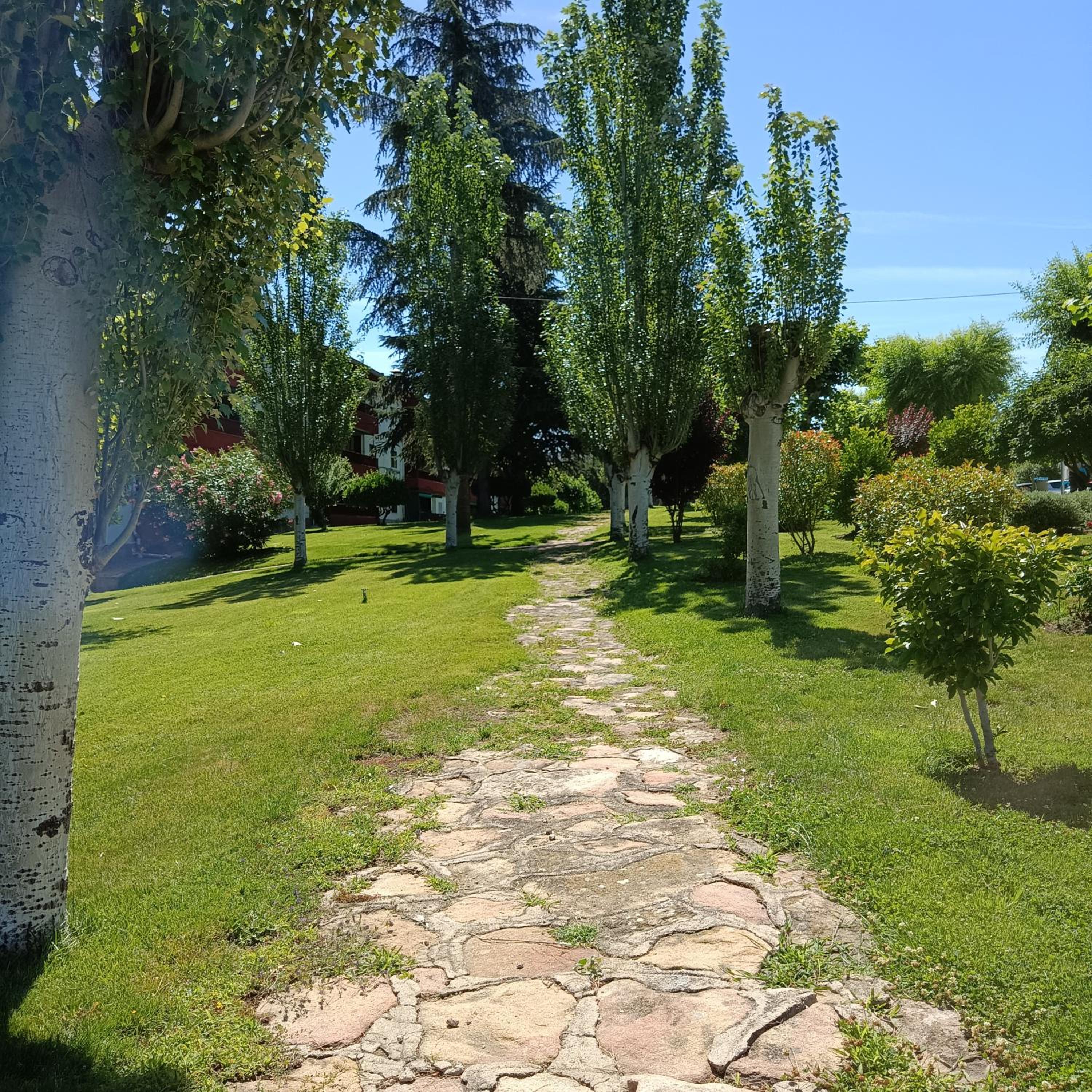 La Casa de las Cumbres view 5