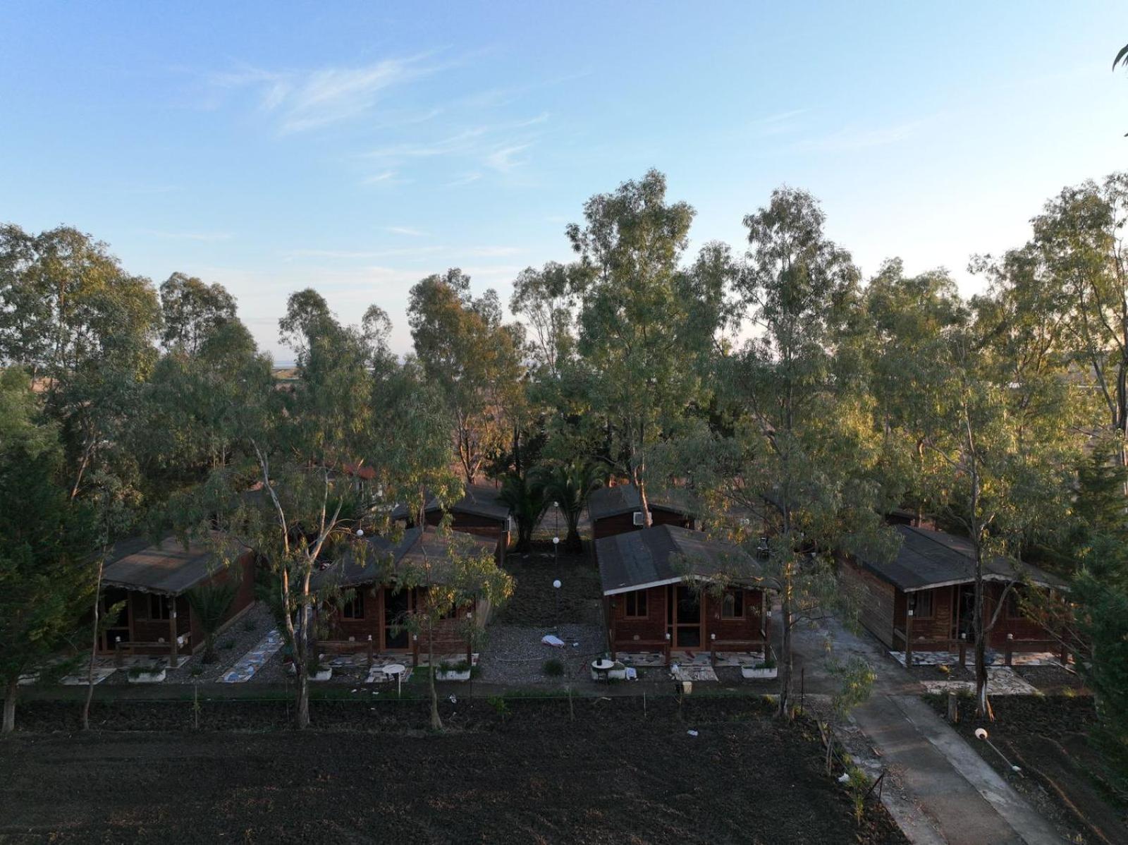 Laguna Park Divjake Wood Cabins