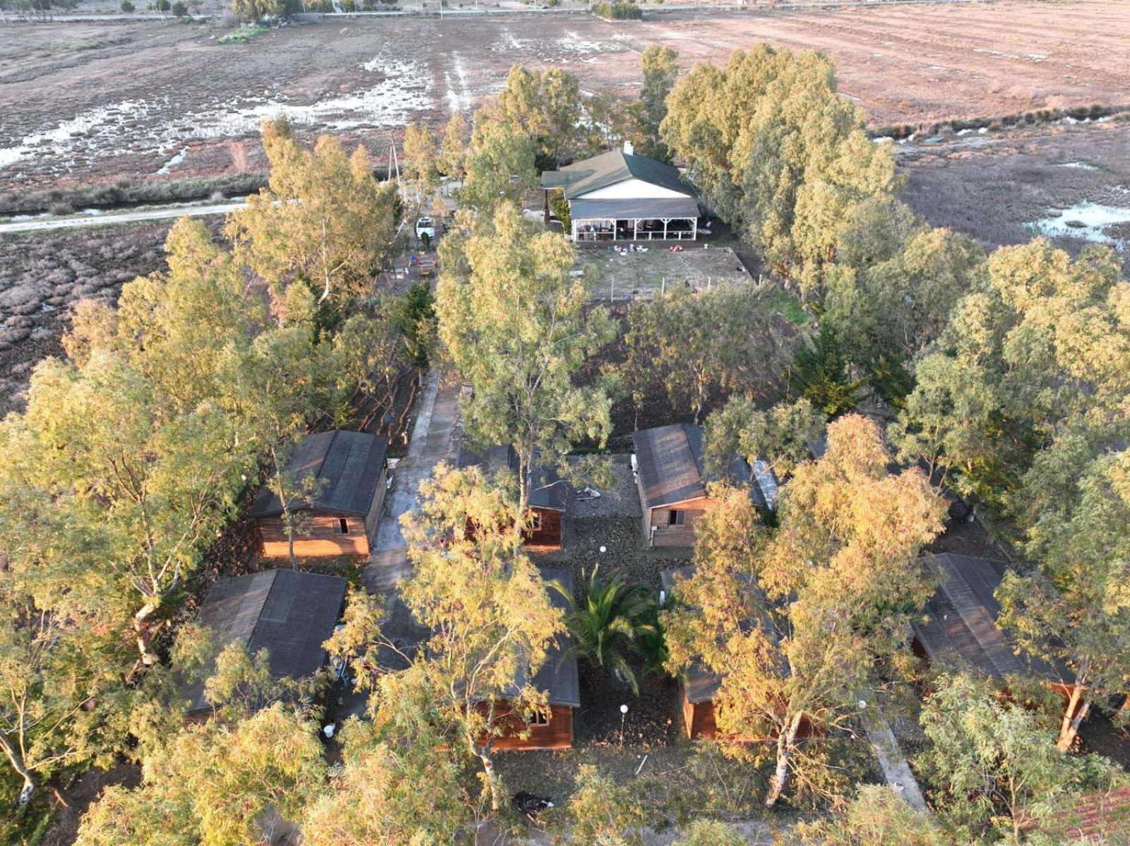 Laguna Park Divjake Wood Cabins