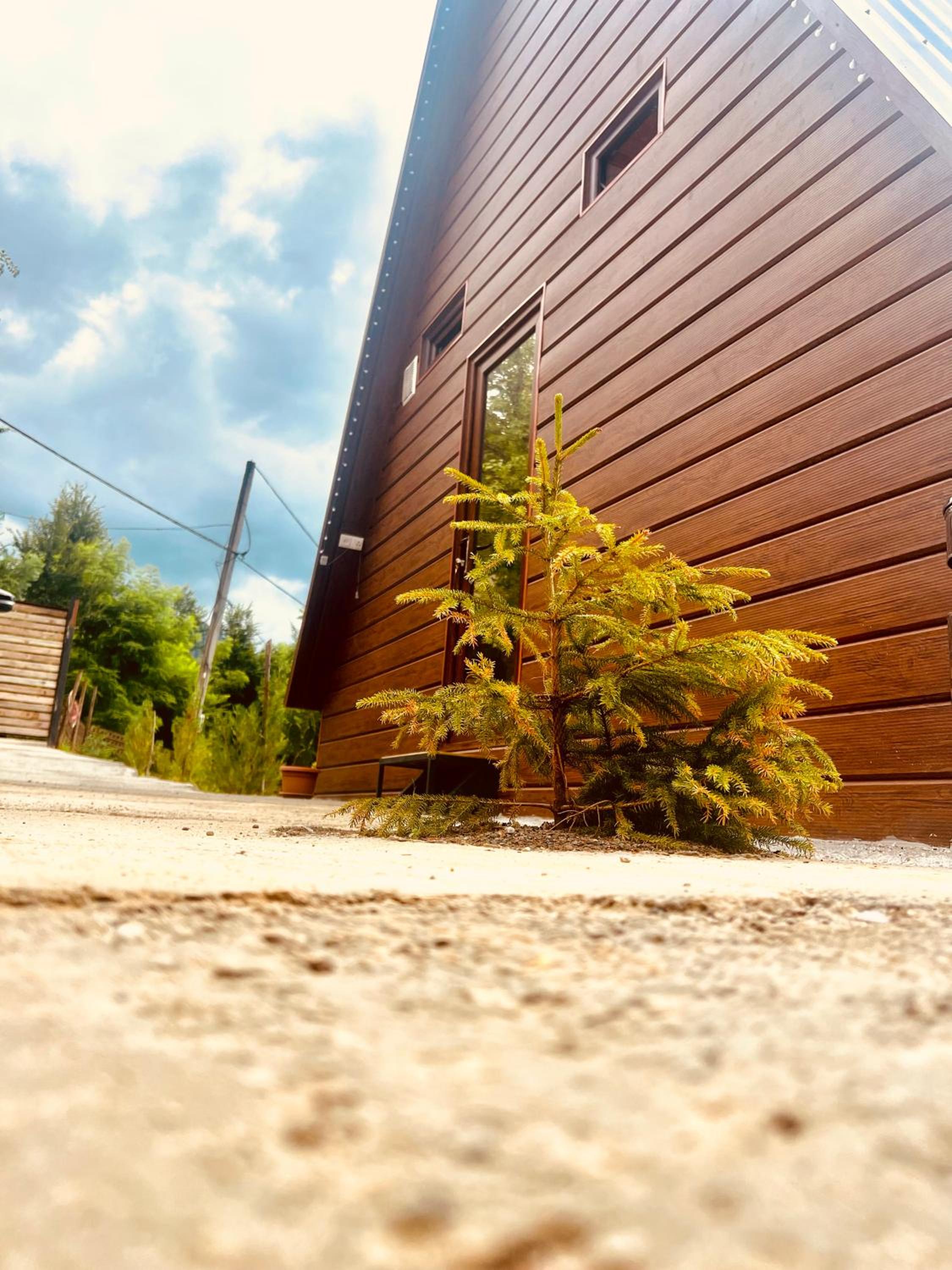 Wayside Cottage