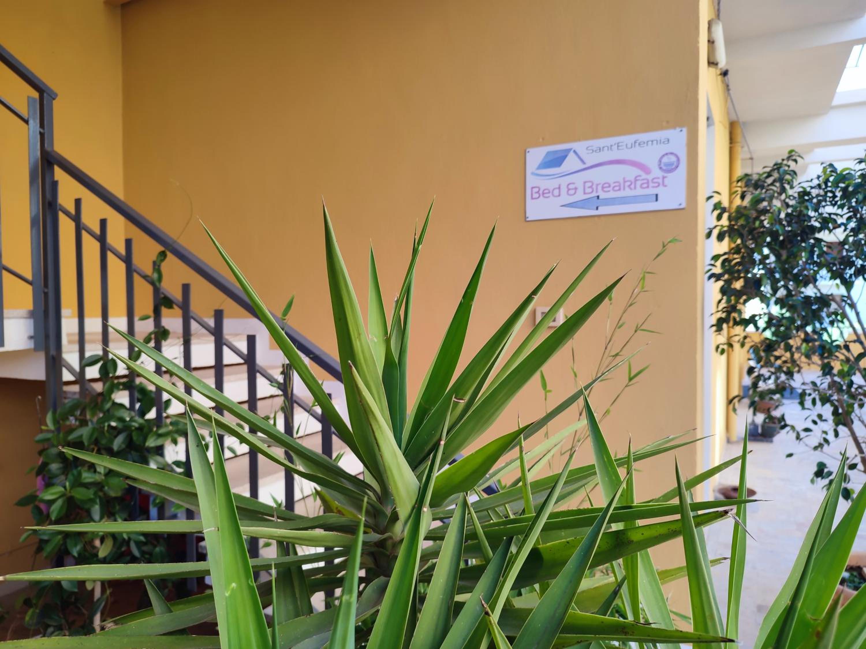 B&B Sant'Eufemia