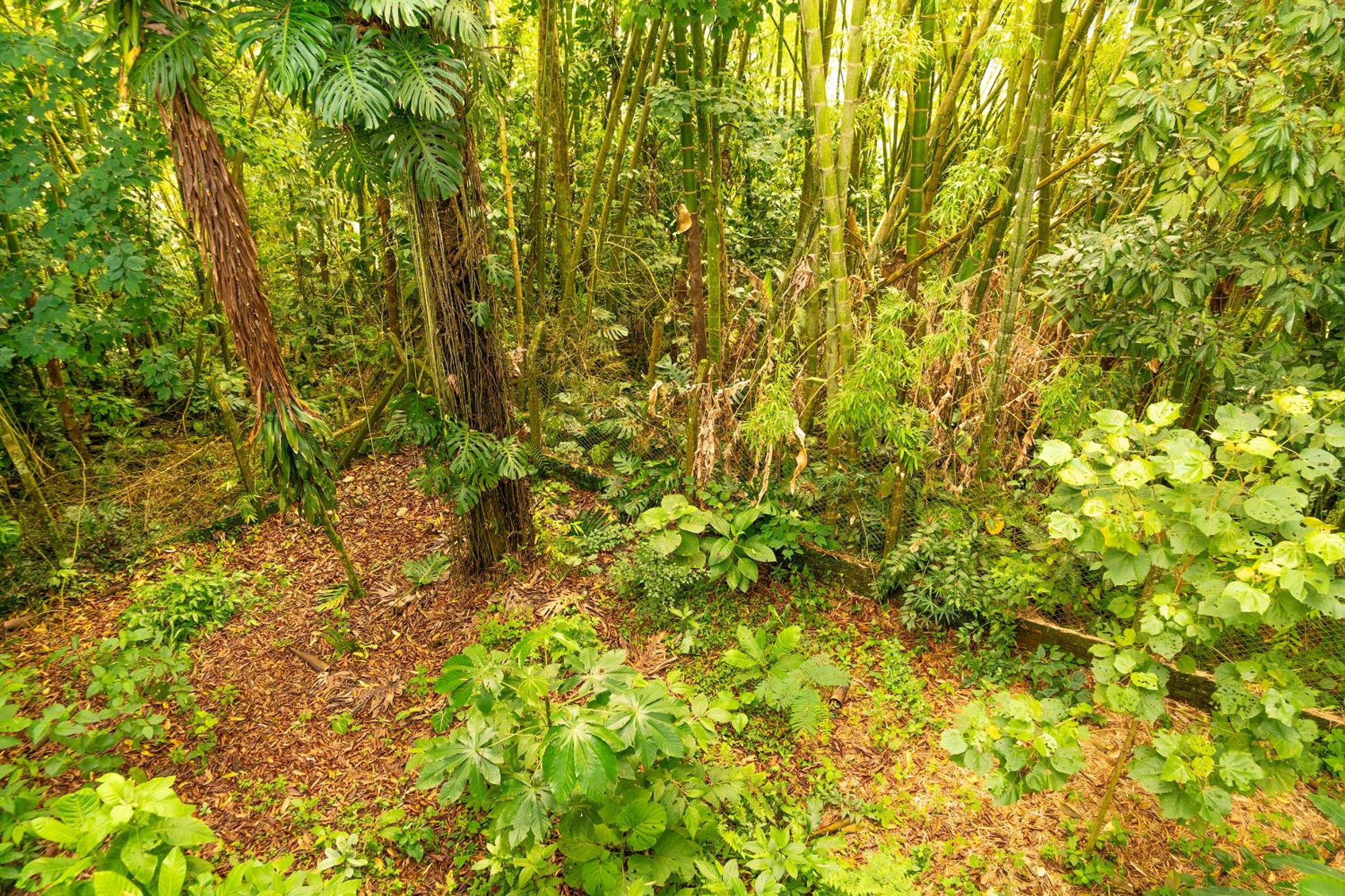 Aldea Sabatinga